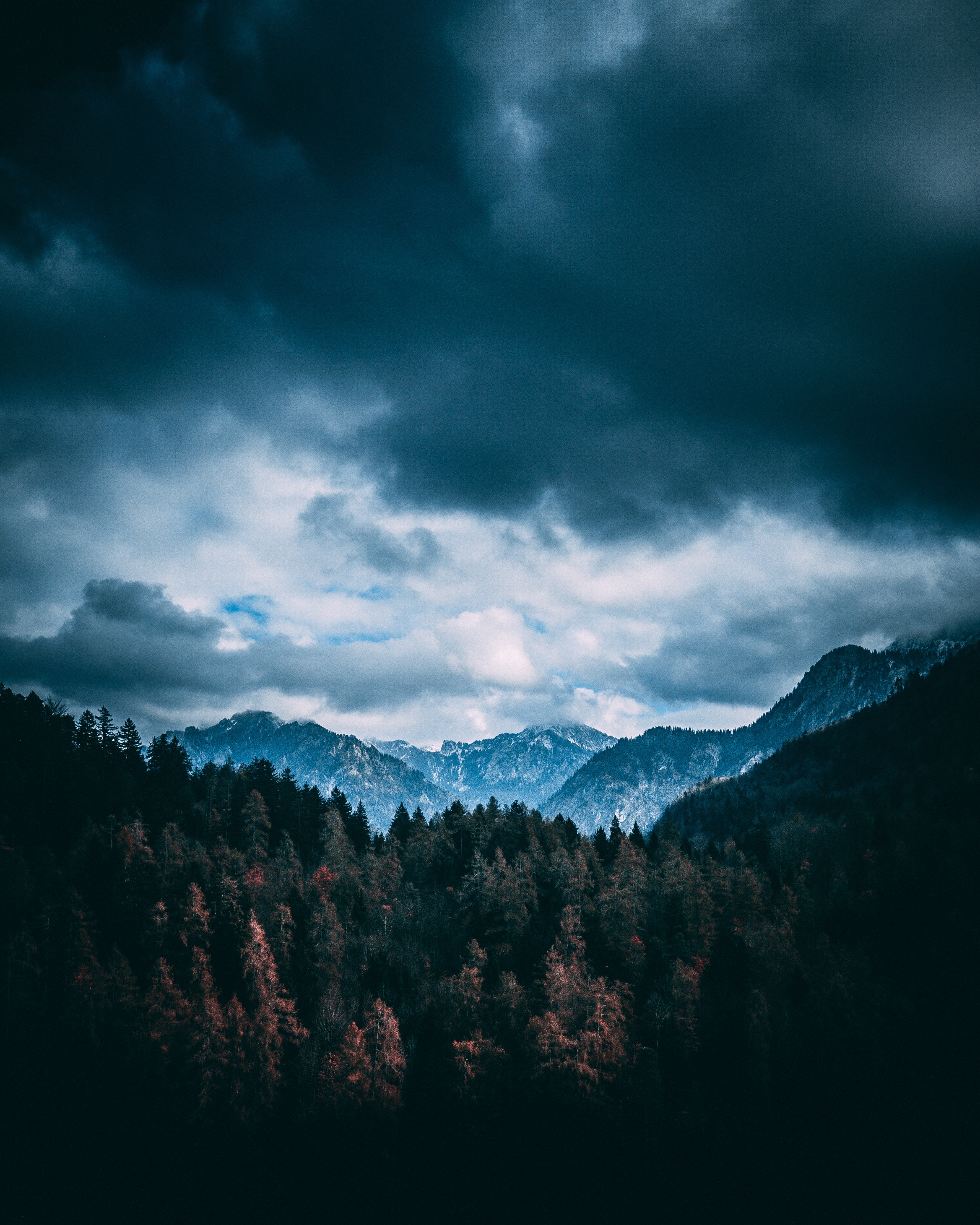 forest, clouds, nature, trees, mountains images