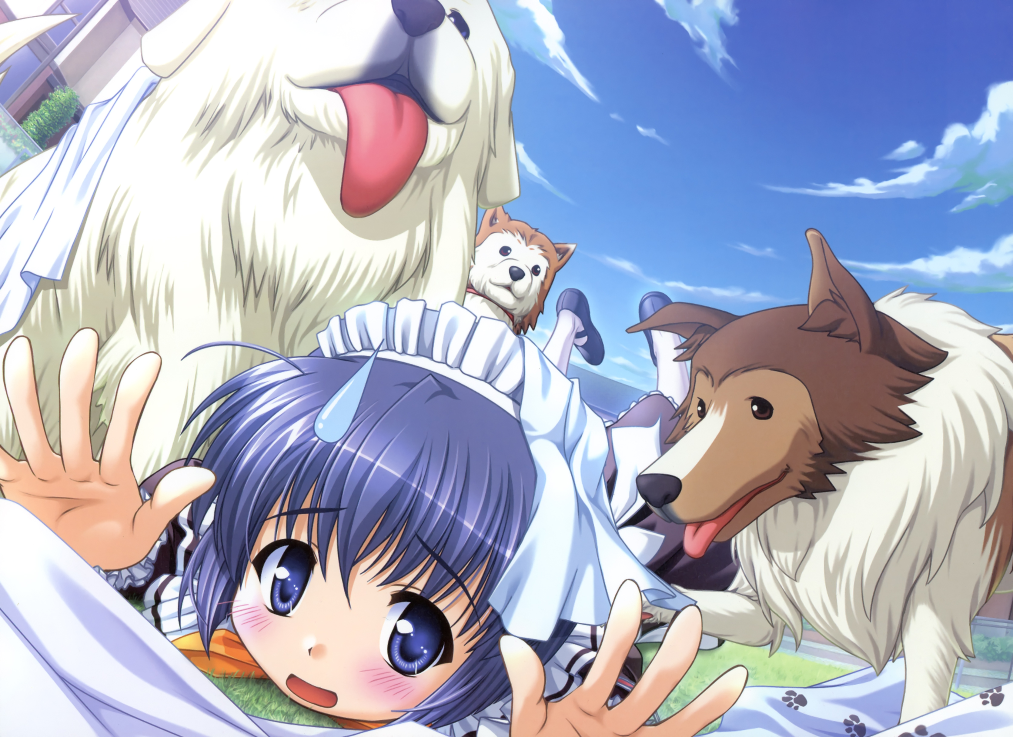 239233 Hintergrundbild herunterladen animes, yoake mae yori ruriiro na - Bildschirmschoner und Bilder kostenlos