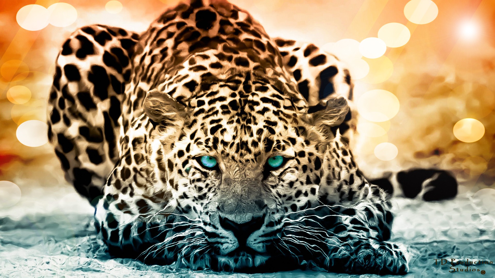 leopard, animal, cats