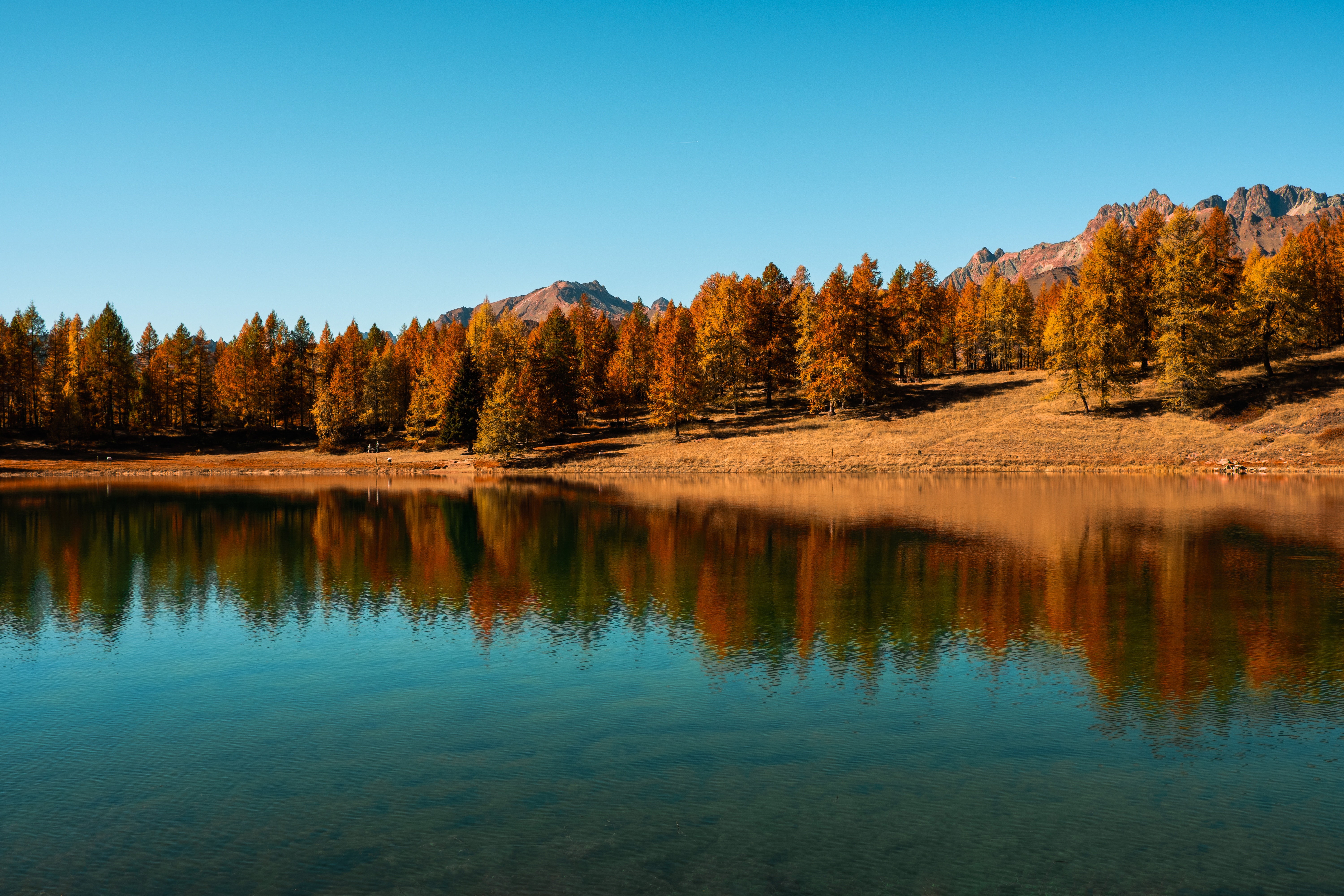 Скачать обои бесплатно Отражение, Озеро, Деревья, Осень, Природа картинка на рабочий стол ПК