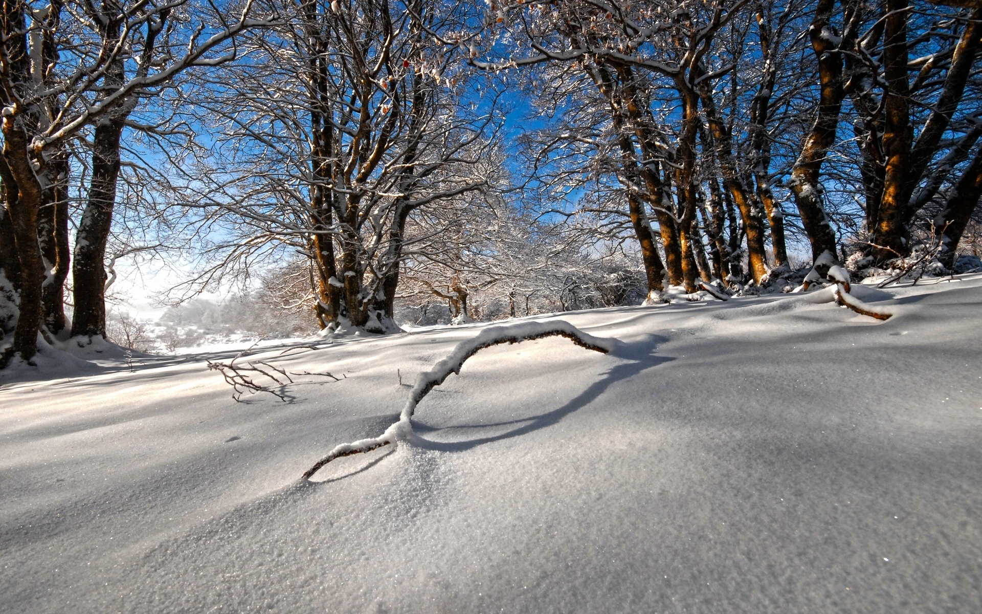 Téléchargez des papiers peints mobile Hiver, Terre/nature gratuitement.