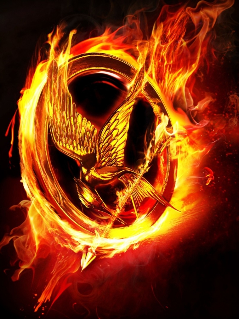 movie, the hunger games, black, mockingjay, fire, flame