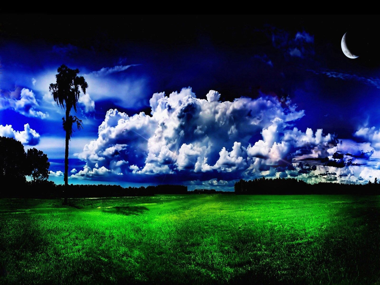 Free download wallpaper Trees, Grass, Clouds, Nature, Greens, Meadow, Moon on your PC desktop