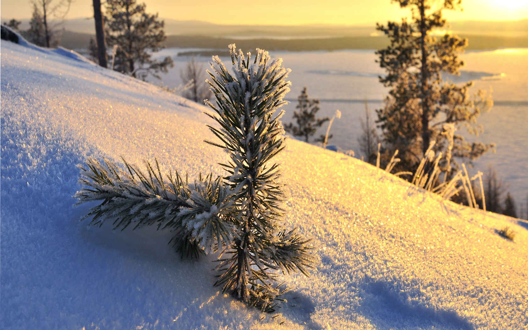 Download mobile wallpaper Winter, Earth for free.