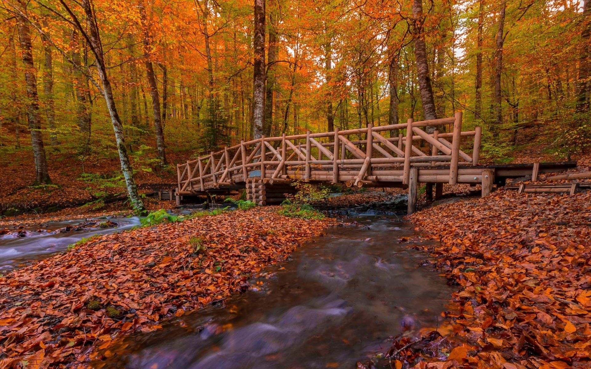 Free download wallpaper Bridges, Forest, Tree, Fall, Bridge, Man Made on your PC desktop