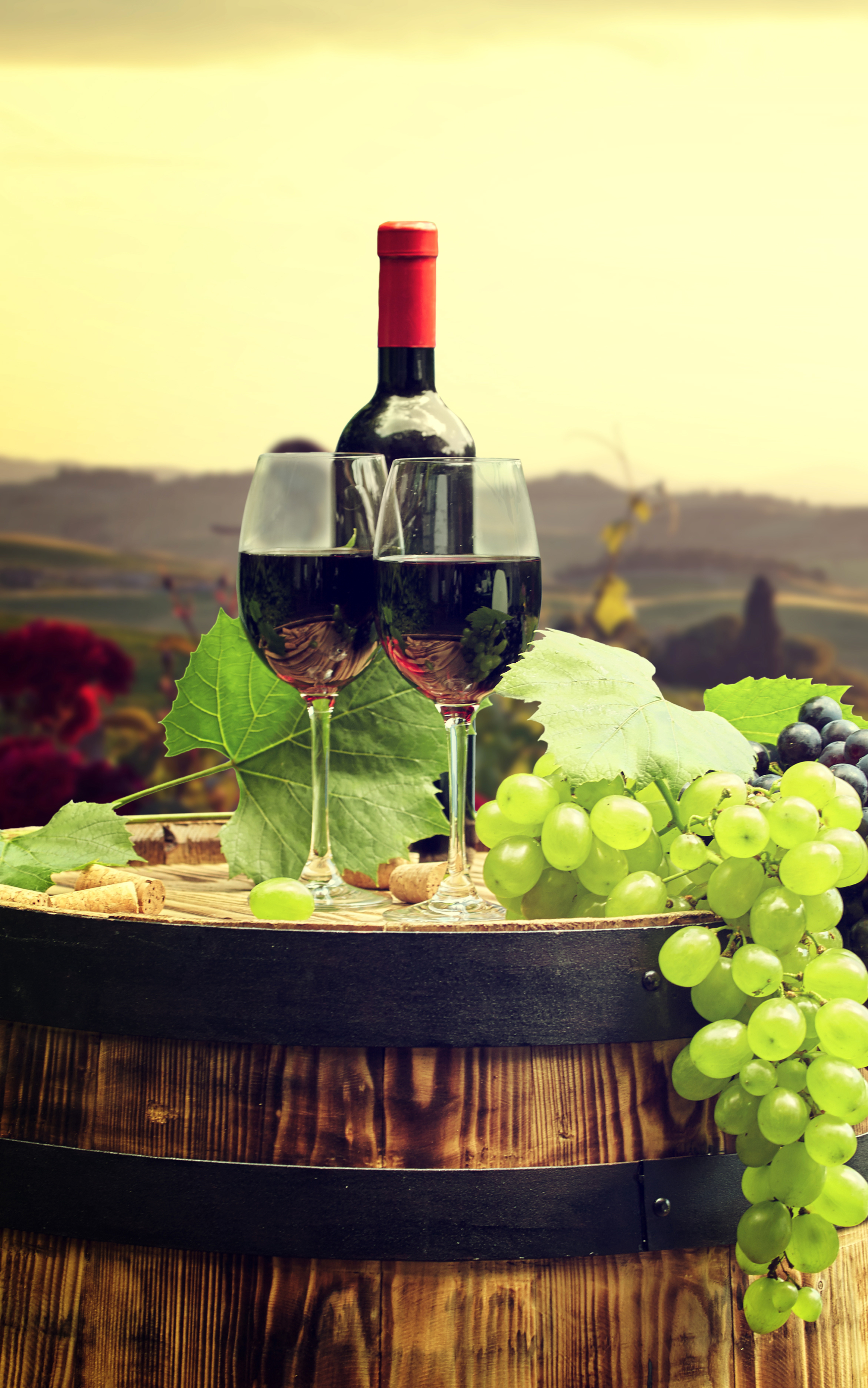 Download mobile wallpaper Food, Grapes, Glass, Vineyard, Barrel, Wine for free.