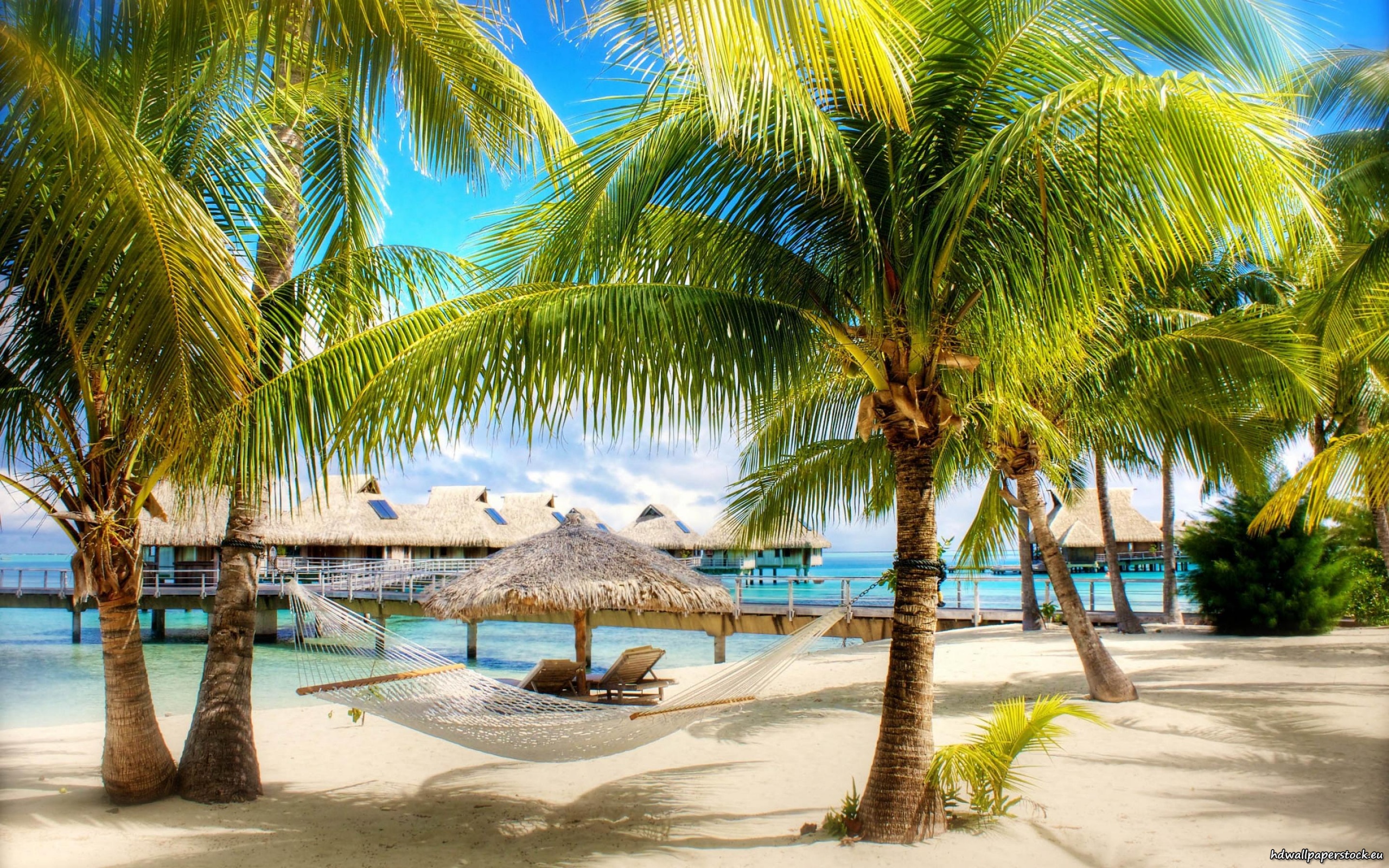 Free download wallpaper Tropical, Photography on your PC desktop