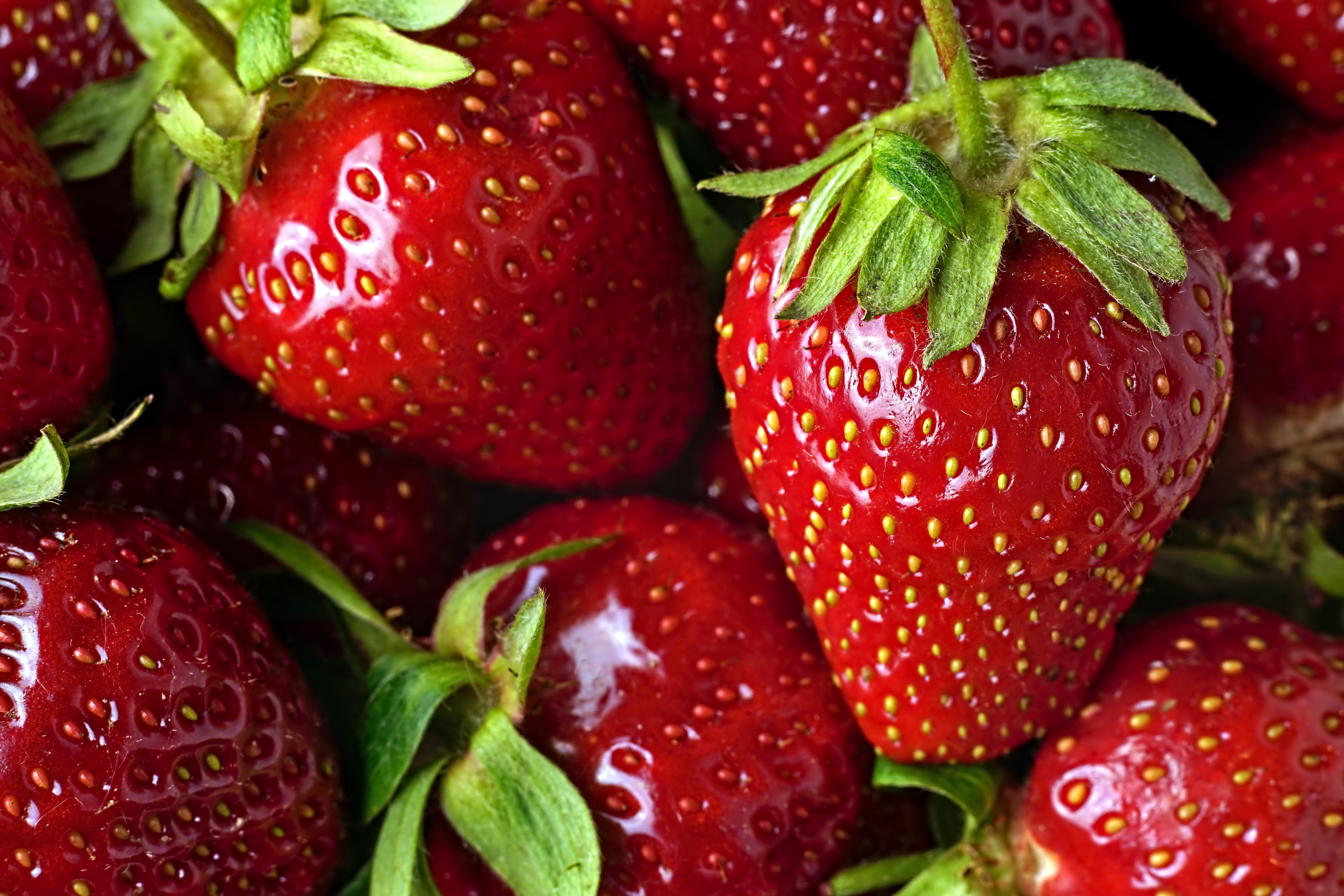 Laden Sie das Erdbeere, Makro, Frucht, Nahrungsmittel, Früchte-Bild kostenlos auf Ihren PC-Desktop herunter