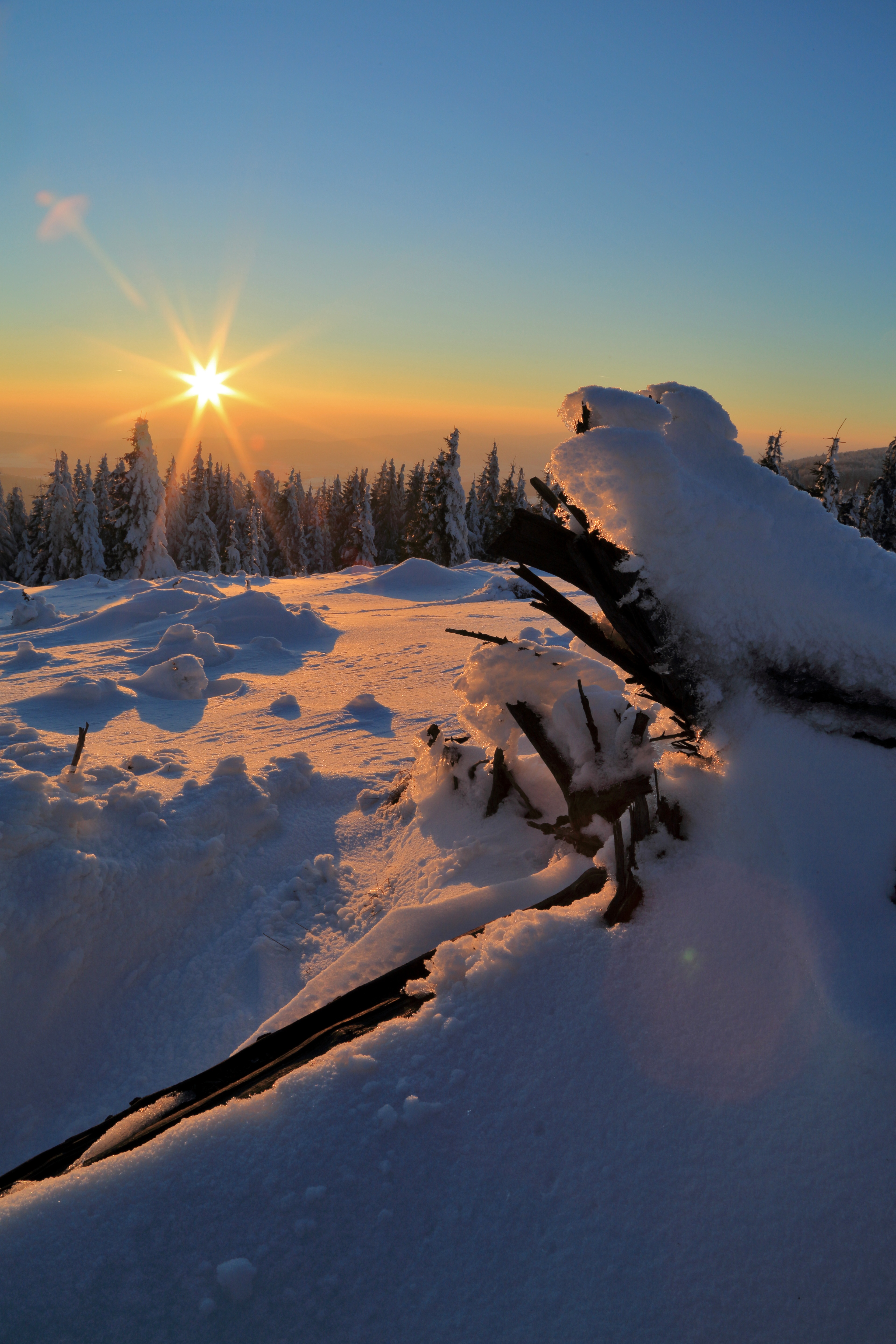 146608 Hintergrundbild herunterladen sunset, schnee, winter, natur, bäume, driften, driftet - Bildschirmschoner und Bilder kostenlos