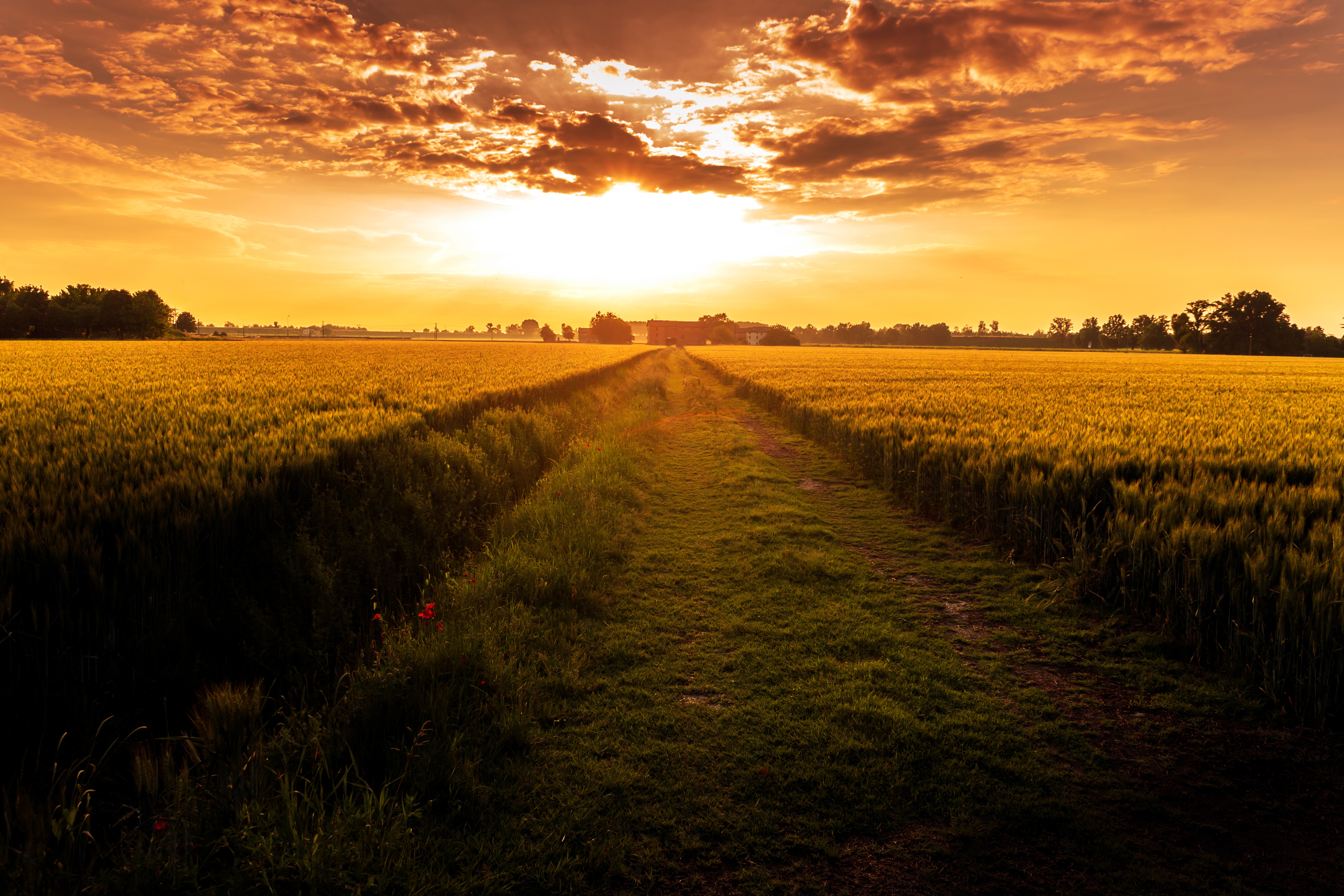 Download mobile wallpaper Path, Field, Horizon, Nature, Sunset for free.