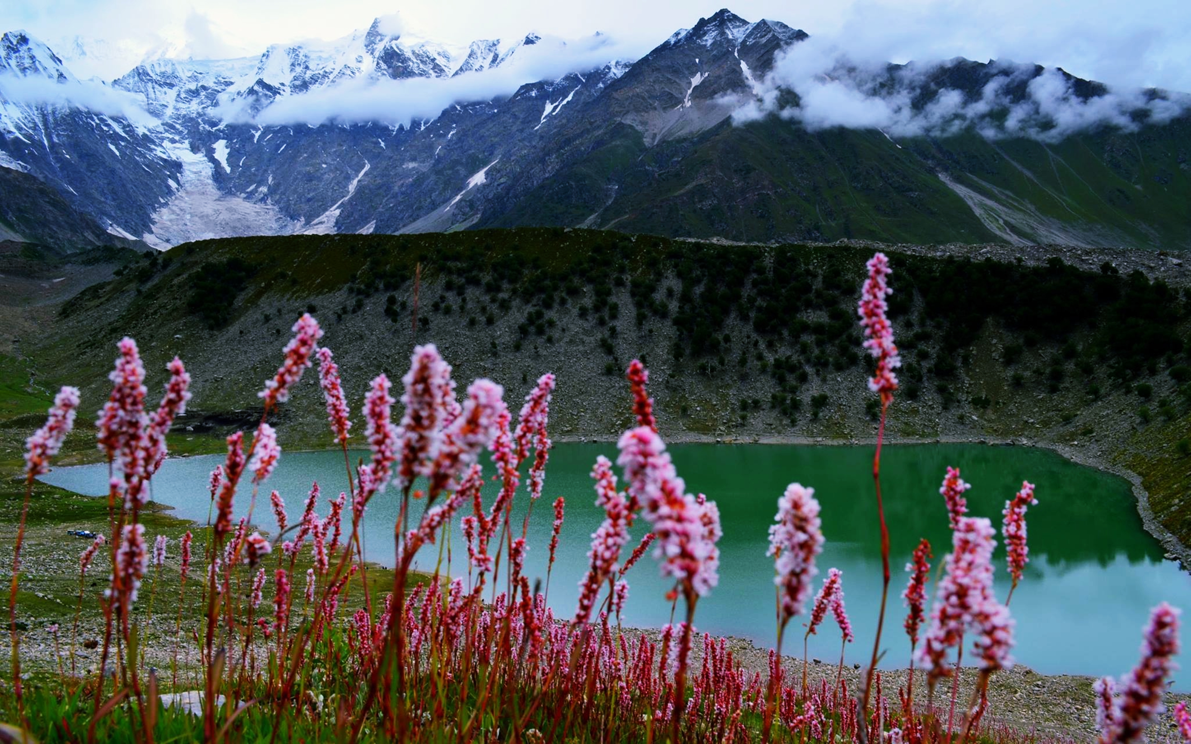 earth, lake, flower, hill, landscape, mountain, nature, pakistan, lakes