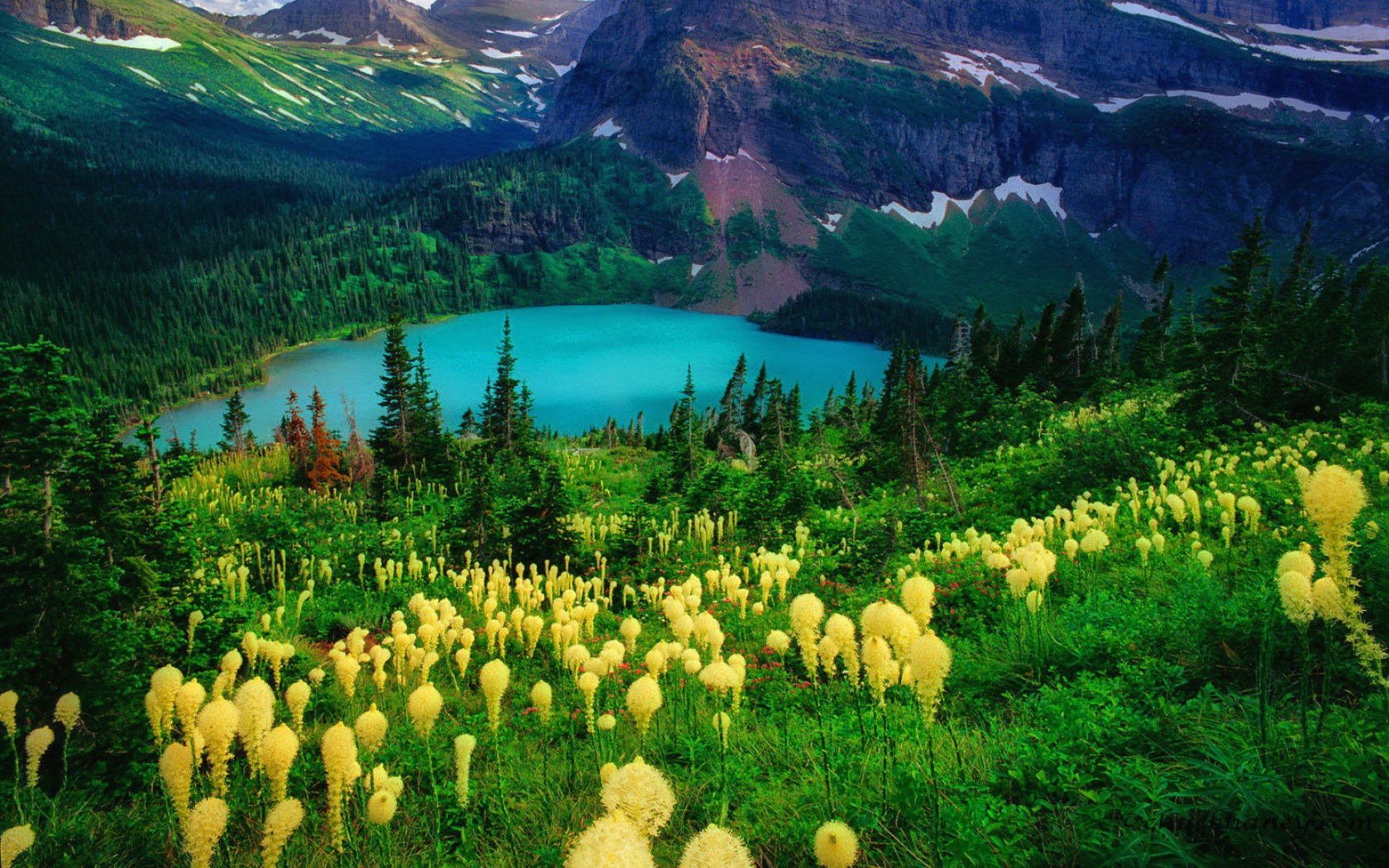 Free download wallpaper Landscape, Mountain, Lake, Flower, Forest, Earth, Spring on your PC desktop