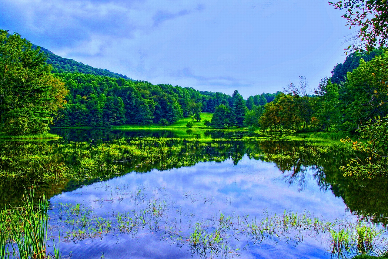 Descarga gratuita de fondo de pantalla para móvil de Tierra/naturaleza, Reflejo.