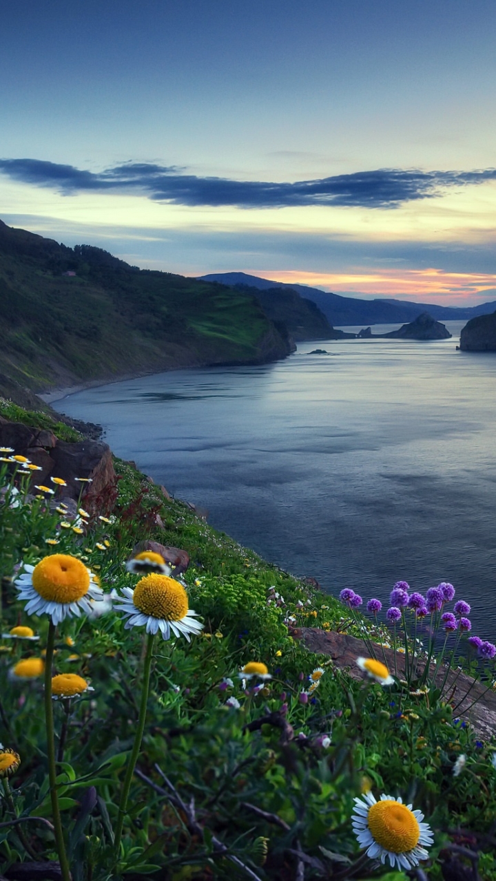 Descarga gratuita de fondo de pantalla para móvil de Naturaleza, Cielo, Horizonte, Flor, Costa, Tierra/naturaleza.