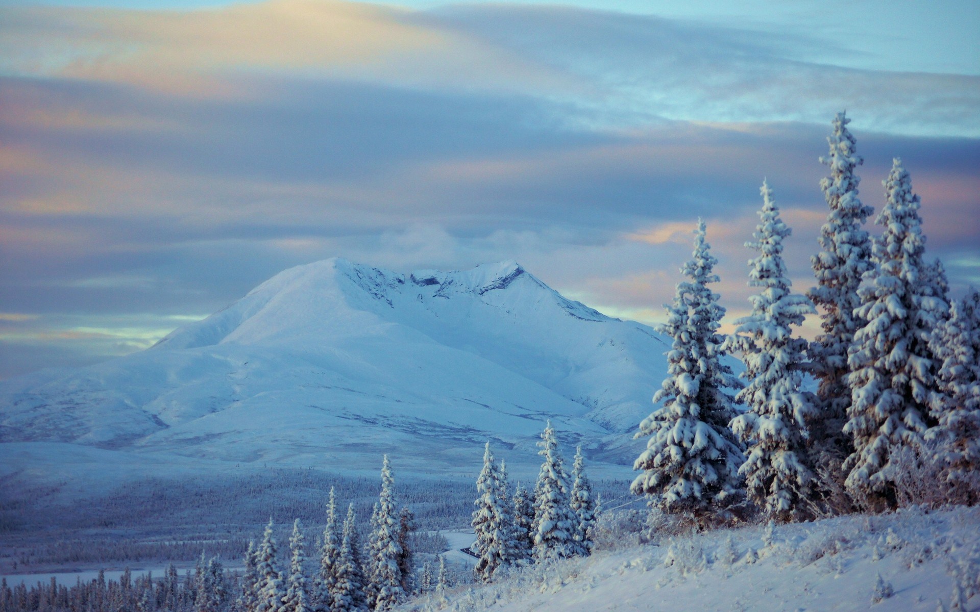 Descarga gratuita de fondo de pantalla para móvil de Invierno, Tierra/naturaleza.