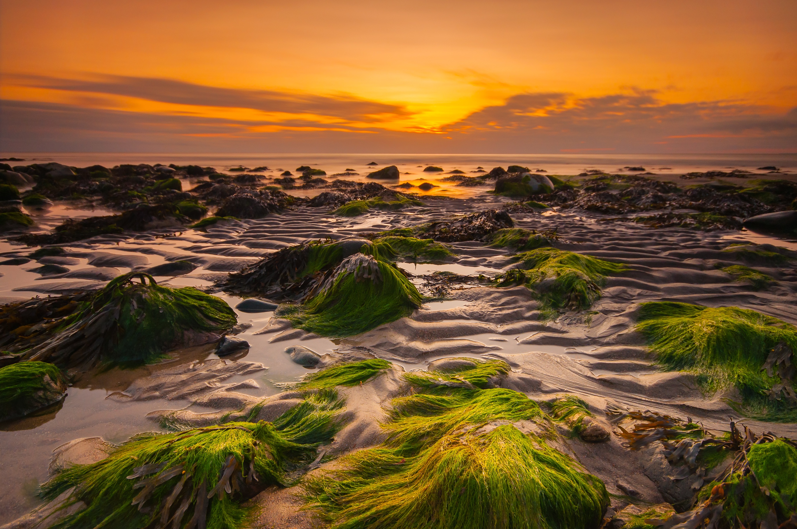 Free download wallpaper Sunset, Earth, Seashore on your PC desktop