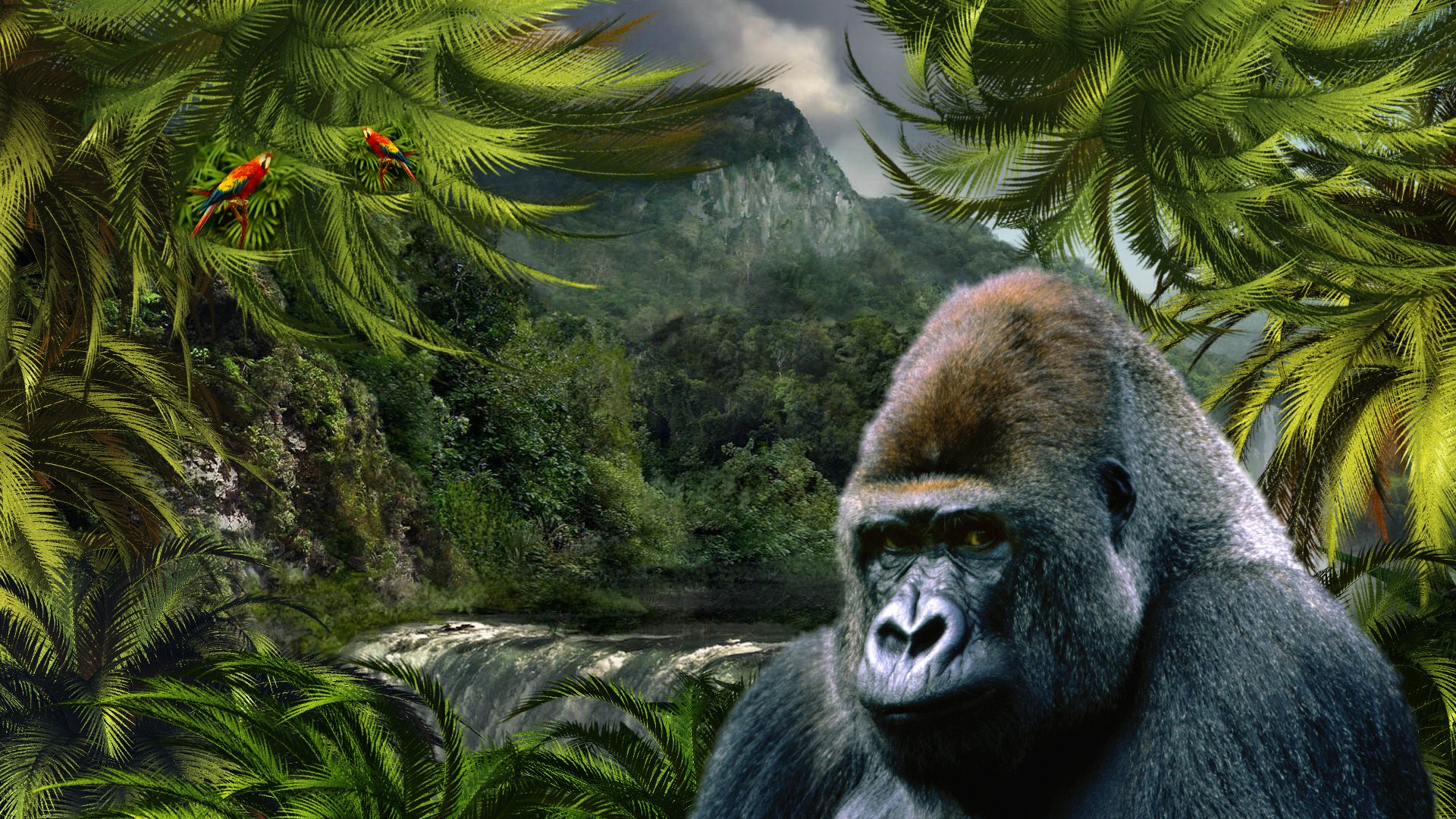 237146 Hintergrundbild herunterladen tiere, gorilla, affen - Bildschirmschoner und Bilder kostenlos