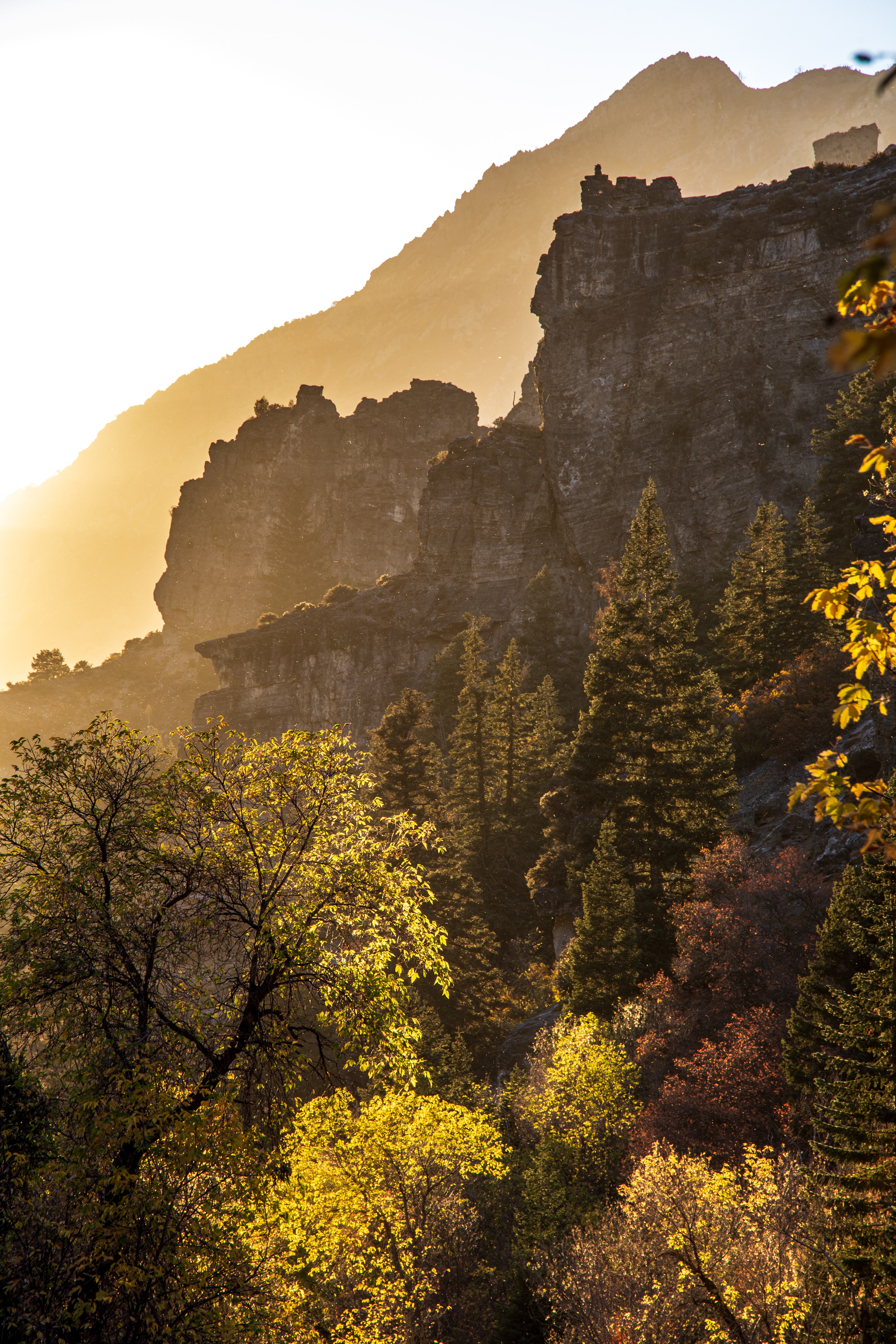 Free download wallpaper Nature, Mountains, Bush, Rocks, Forest on your PC desktop