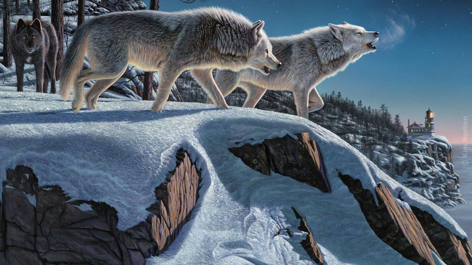 Descarga gratuita de fondo de pantalla para móvil de Animales, Invierno, Pintura, Lobo, Wolves.