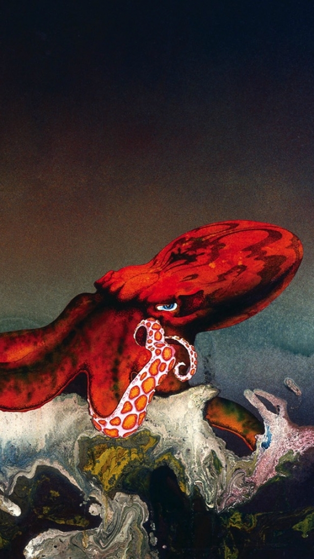 Download mobile wallpaper Fantasy, Octopus, Animal for free.
