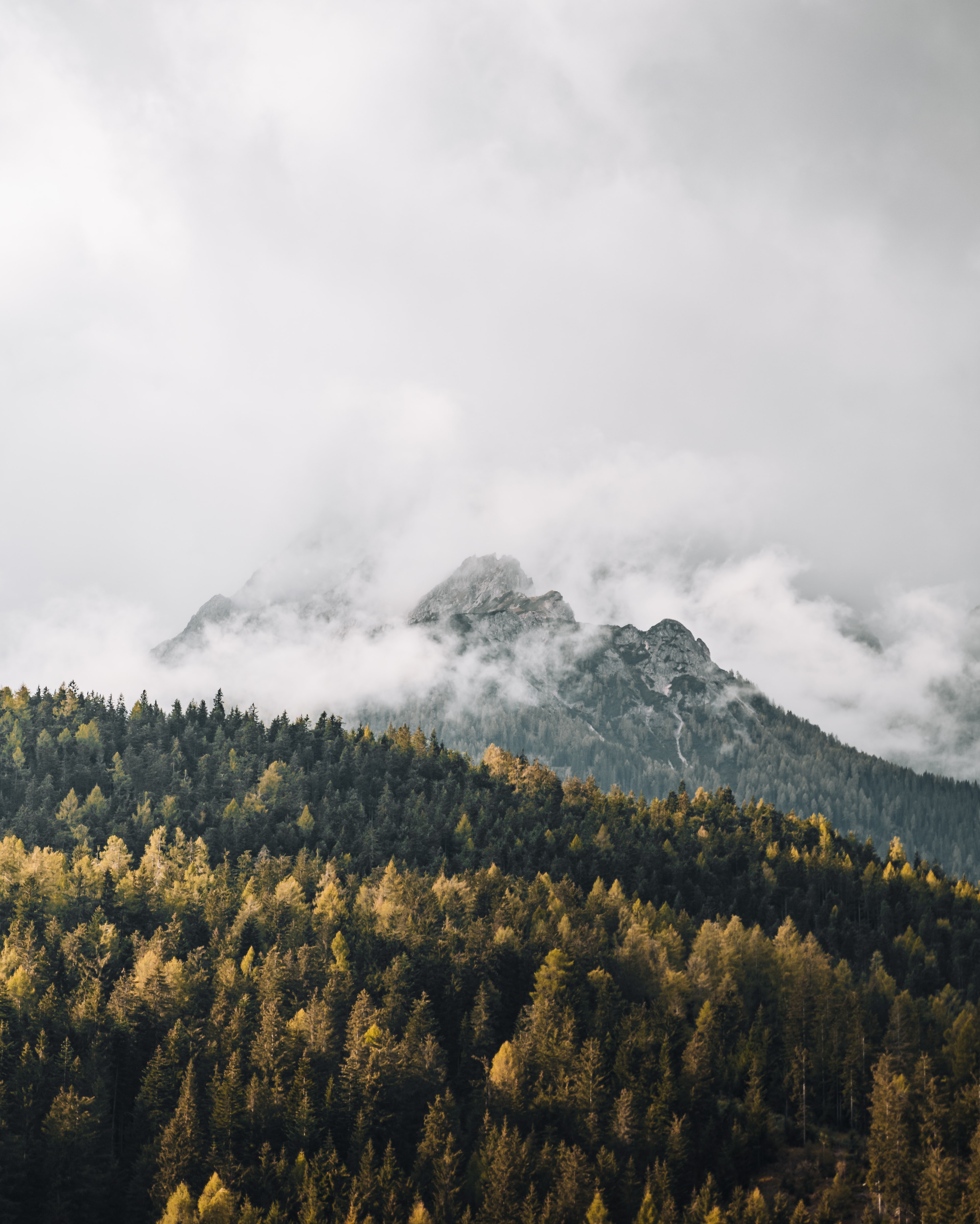 Handy-Wallpaper Bäume, Mountains, Wald, Nebel, Natur kostenlos herunterladen.
