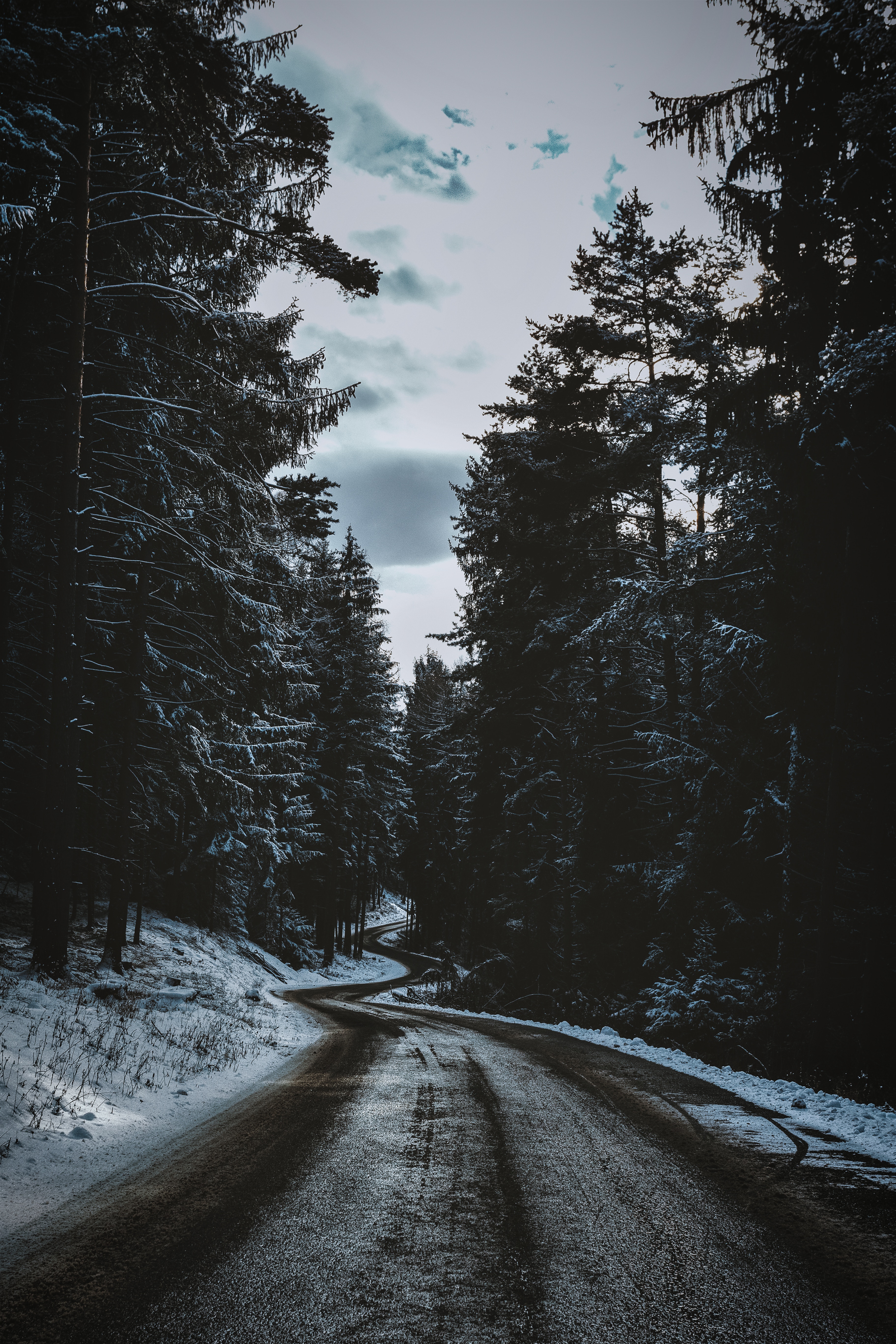 road, winter, nature, trees, snow, winding, sinuous