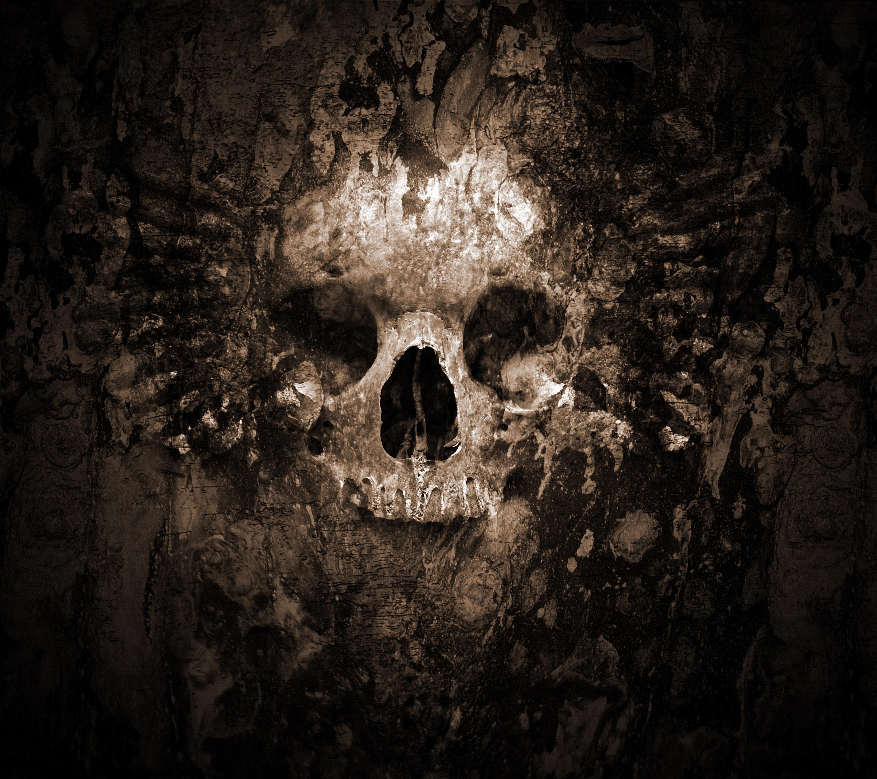 Download mobile wallpaper Skull, Dark for free.