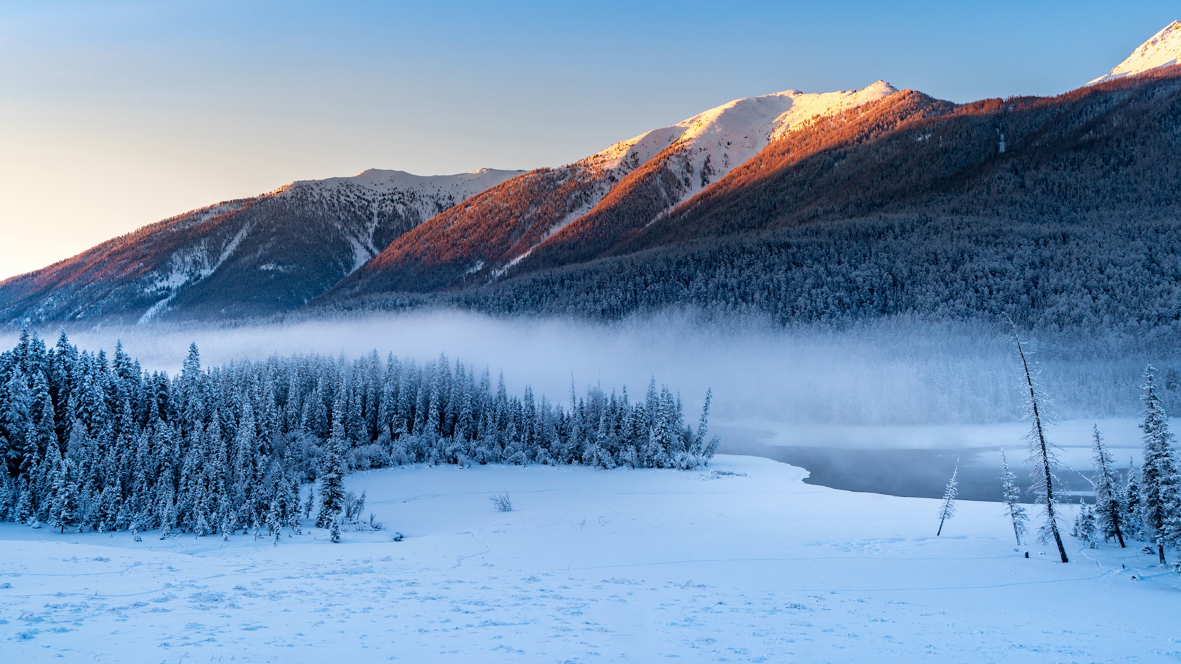 Handy-Wallpaper Winter, Schnee, Wald, Gebirge, Berge, Erde/natur kostenlos herunterladen.