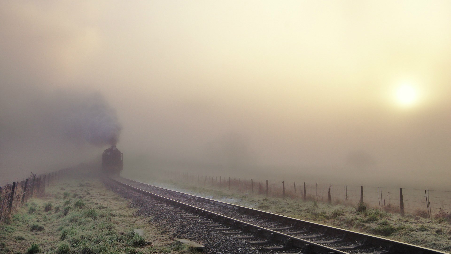 train, vehicles, fog, locomotive, railroad, steam train