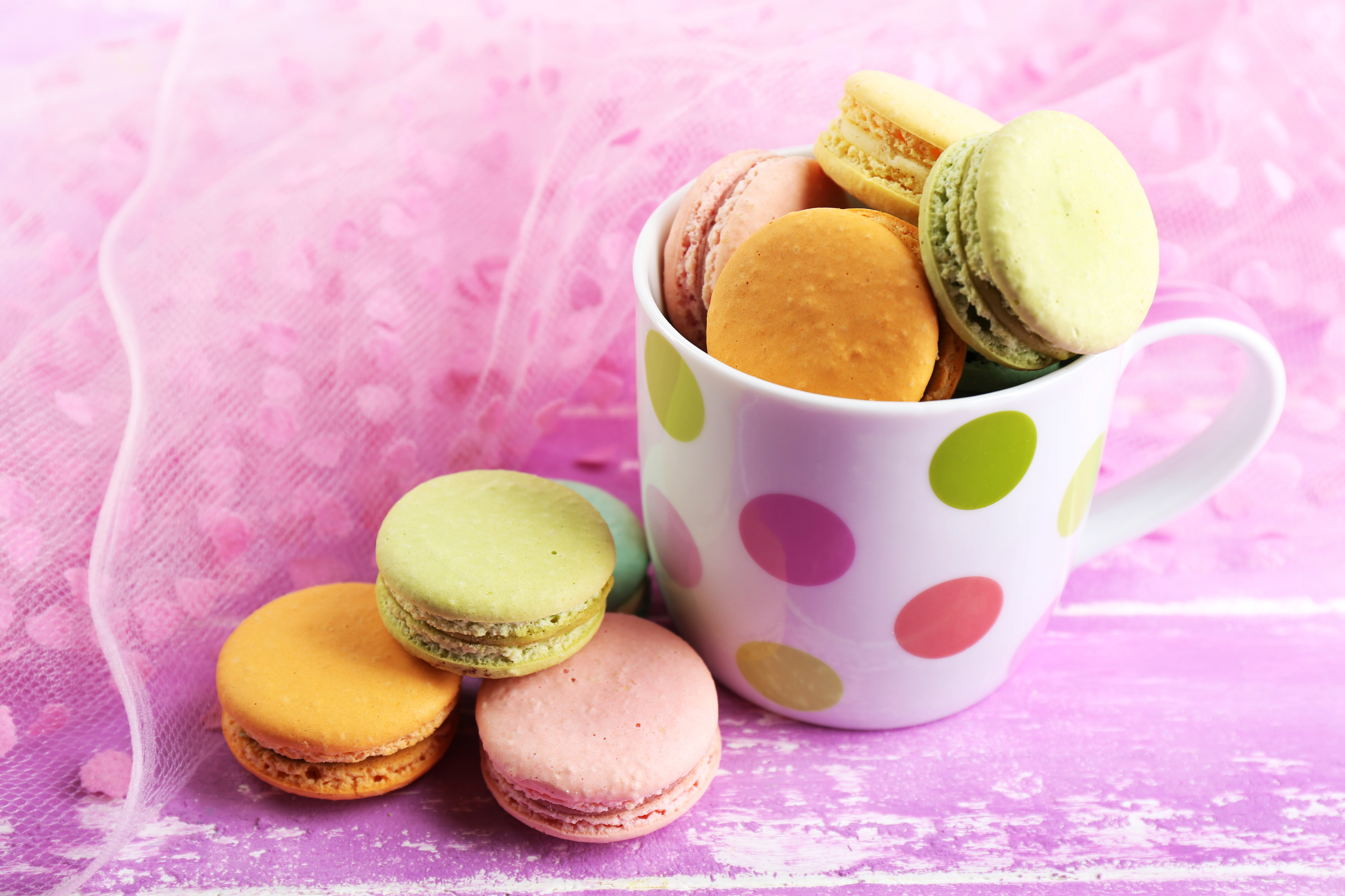 Free download wallpaper Food, Cup, Colors, Sweets, Macaron on your PC desktop