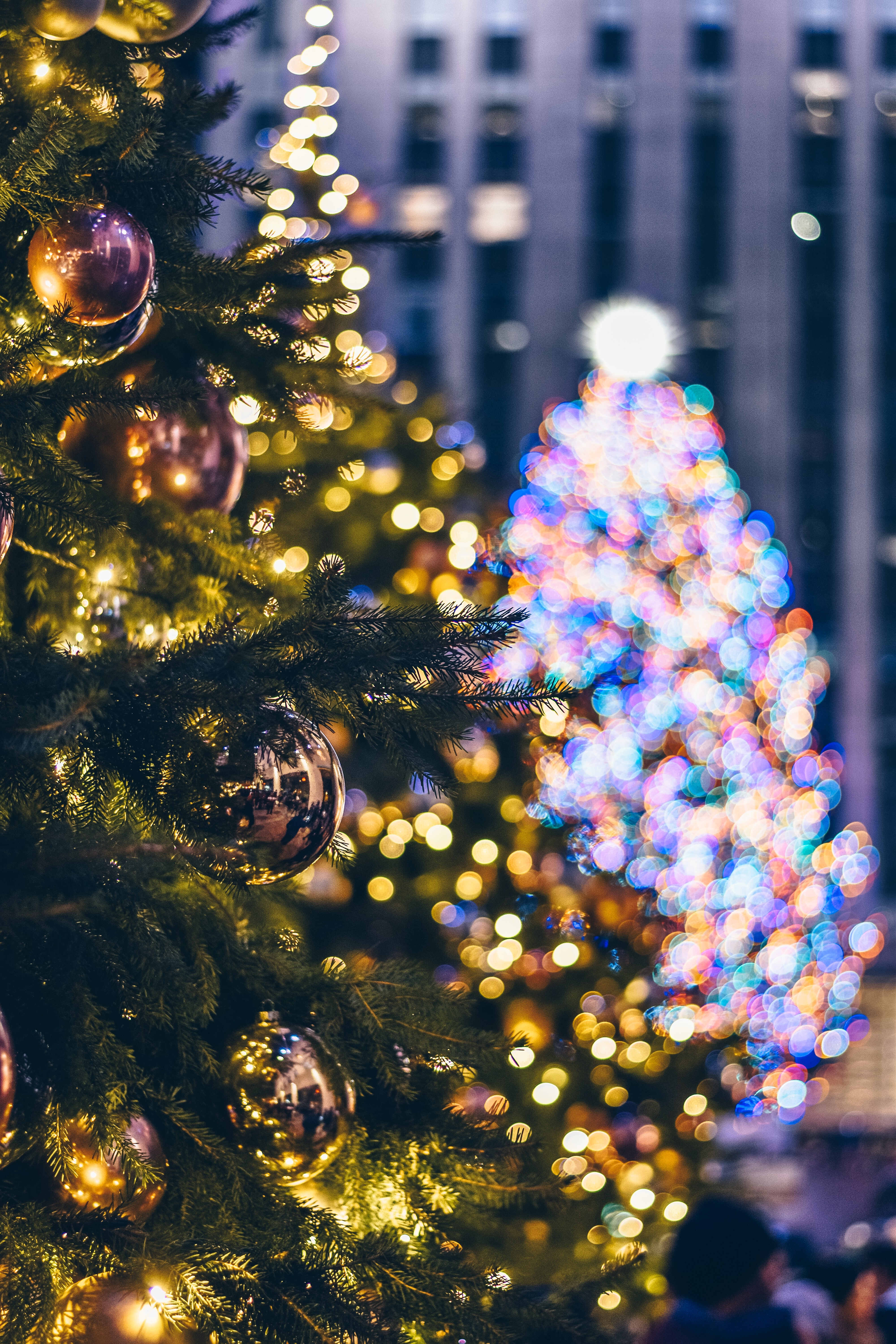 149315 Bild herunterladen weihnachten, garland, weihnachtsbaum, feiertage, neujahr, dekoration, die lichter, lichter, neues jahr, girlanden - Hintergrundbilder und Bildschirmschoner kostenlos