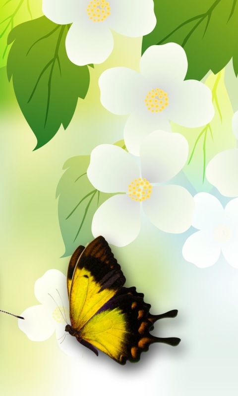 Download mobile wallpaper Flowers, Flower, Butterfly, Artistic, White Flower for free.