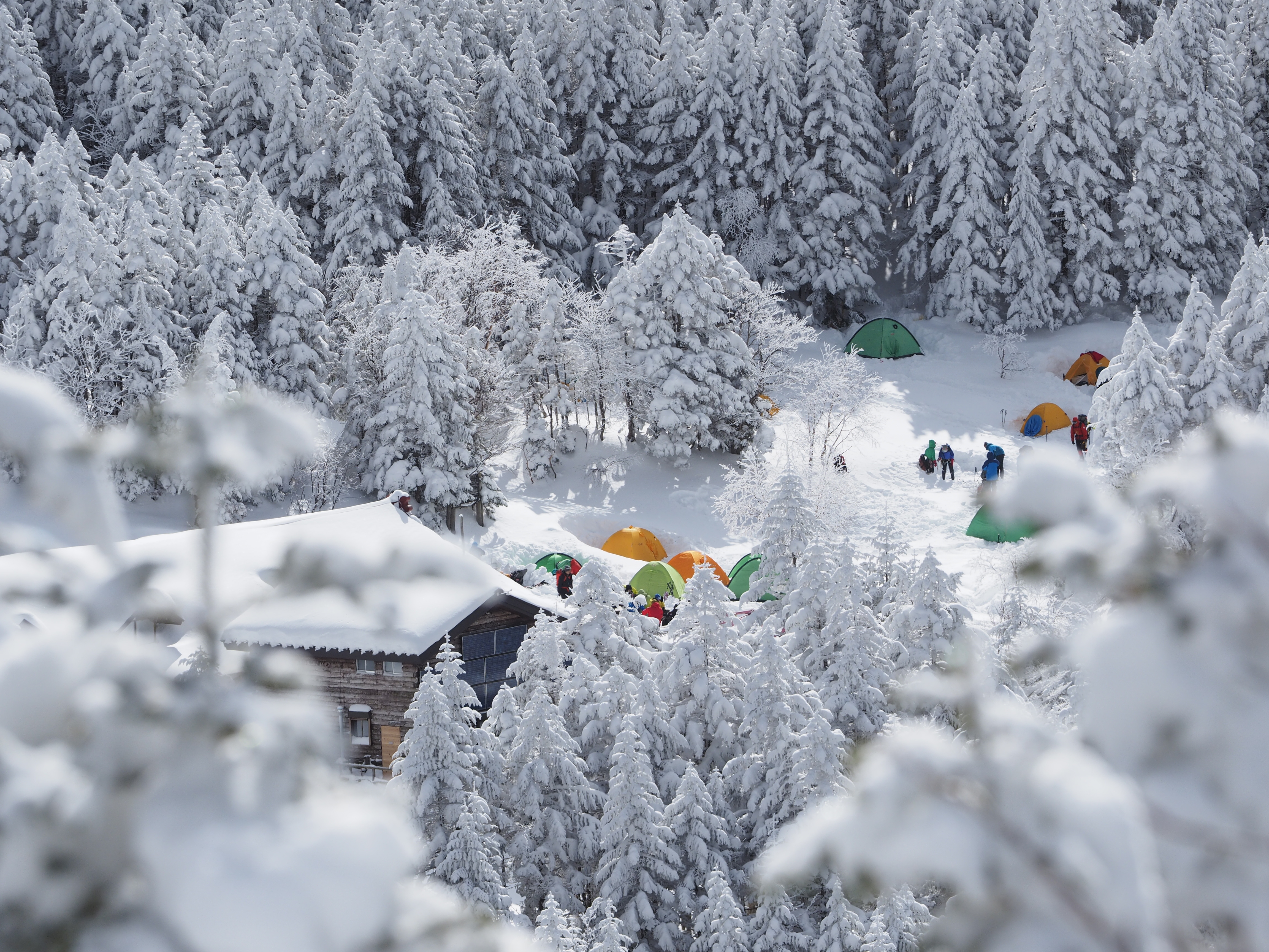 winter, snow, miscellanea, miscellaneous, forest, camping, campsite, tents