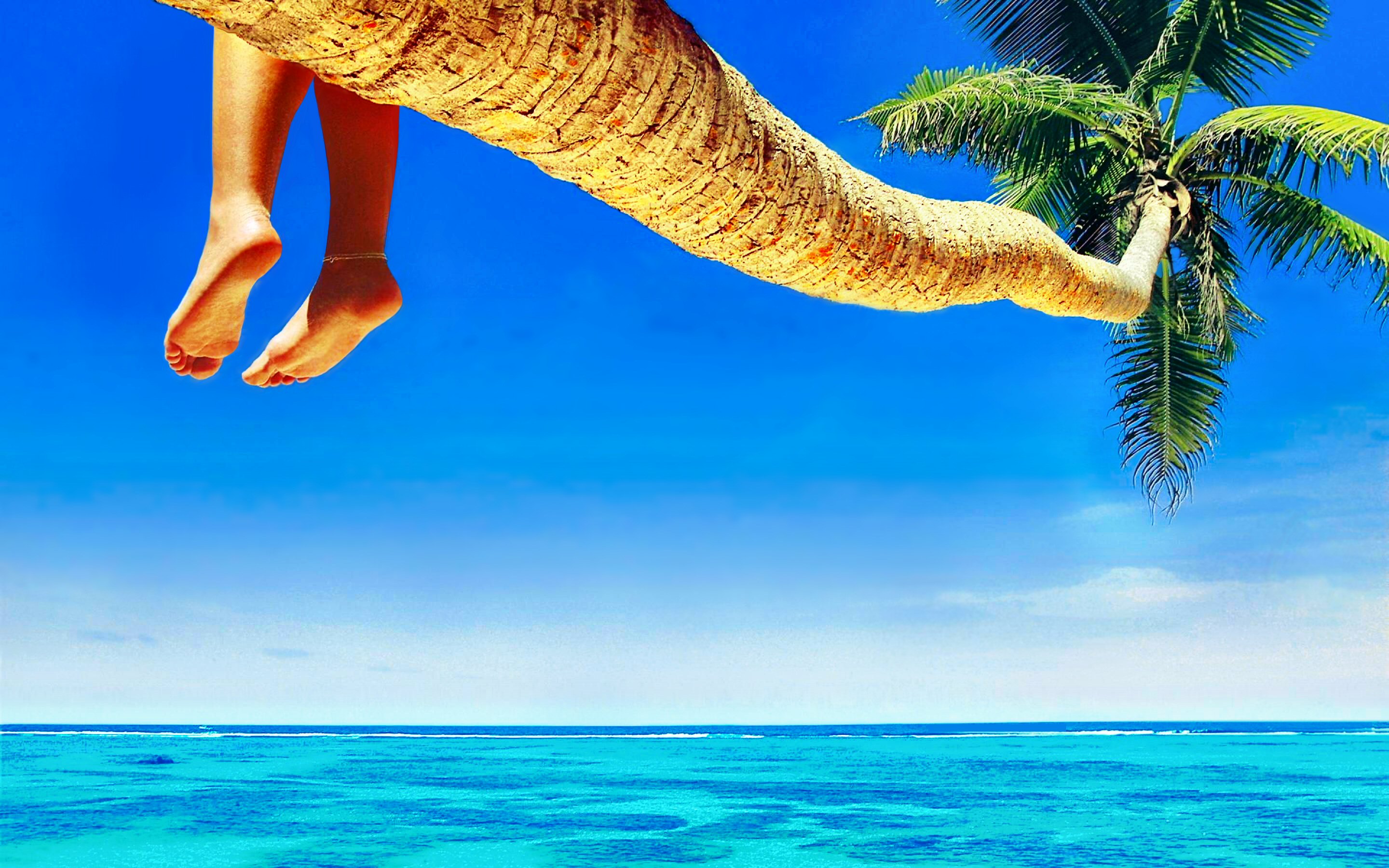 horizon, photography, tropical, blue, feet, maldives, palm tree, summer, sunny, turquoise