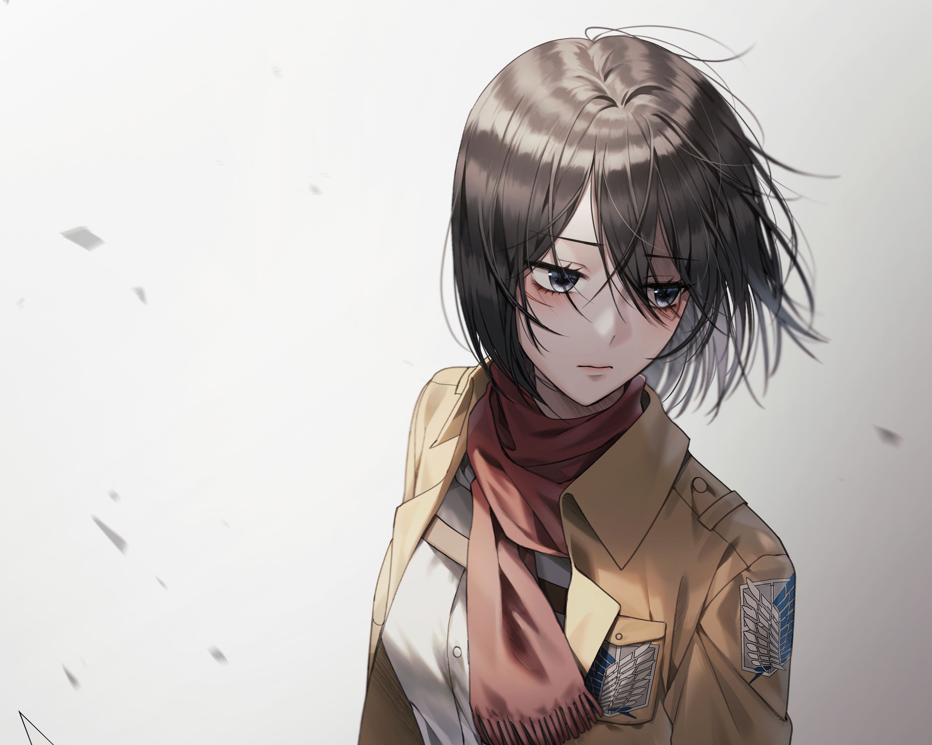 Free download wallpaper Anime, Mikasa Ackerman, Attack On Titan on your PC desktop