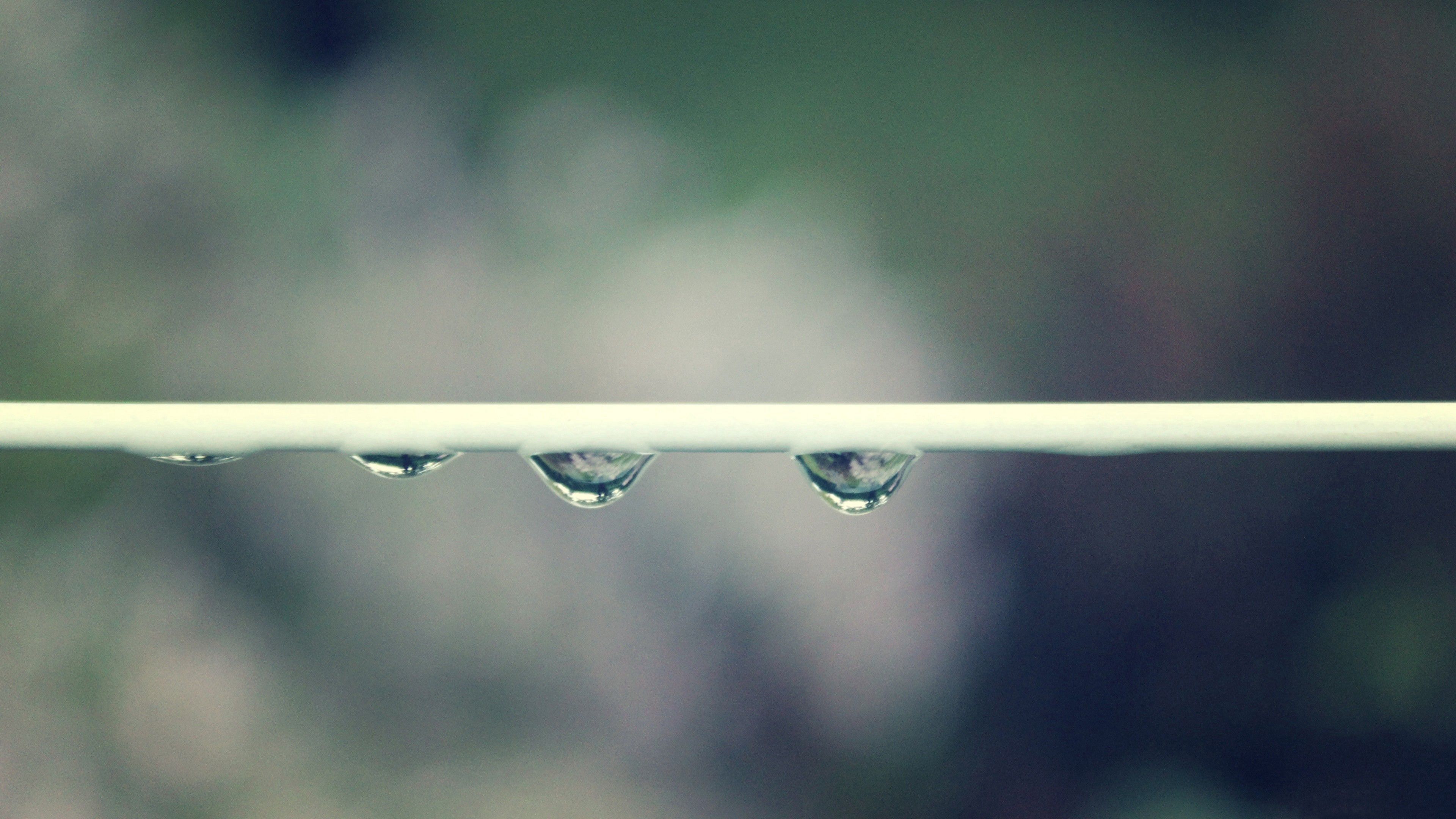 drops, grass, plant, macro, line, stem, stalk wallpapers for tablet