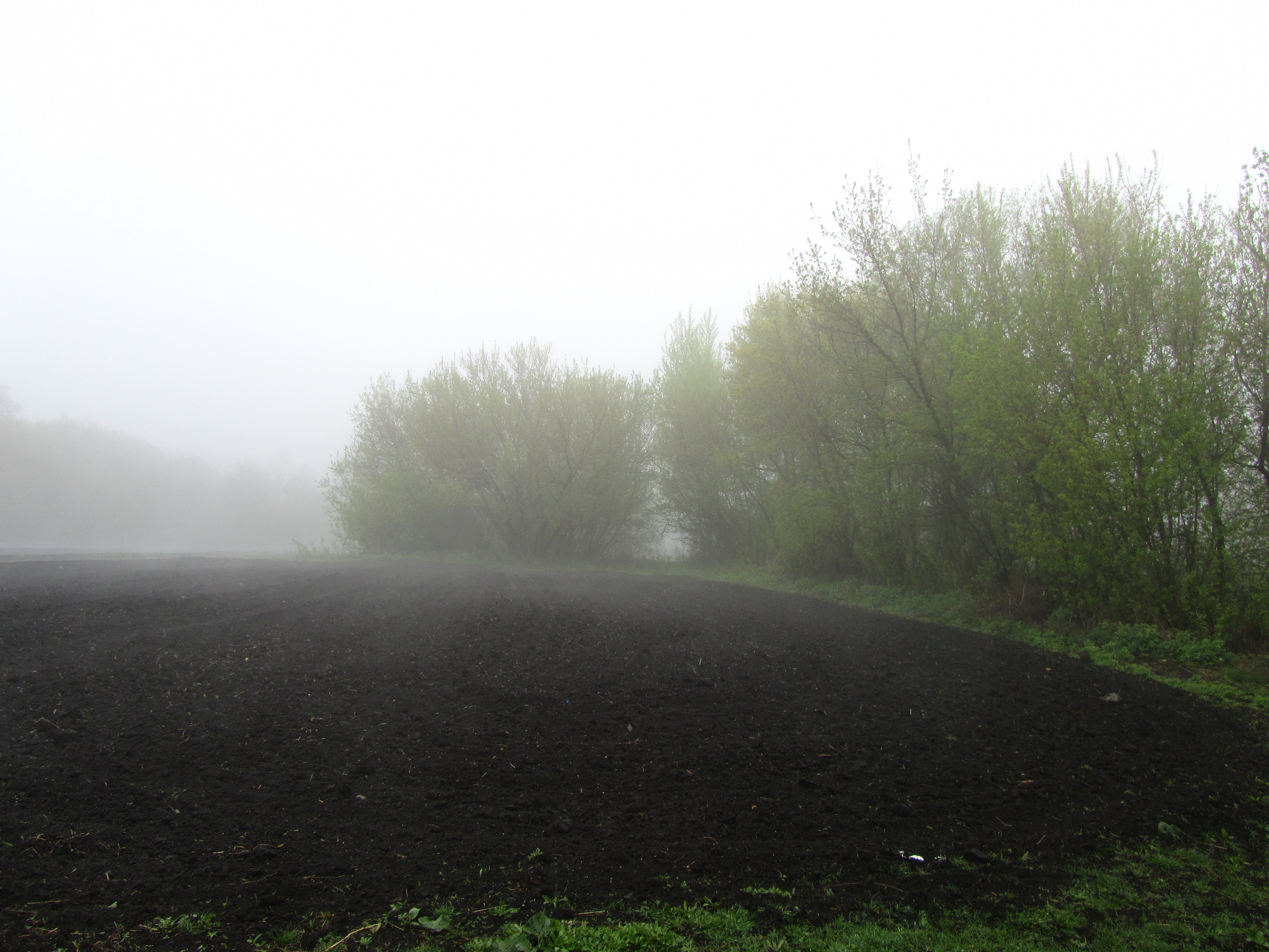 Téléchargez gratuitement l'image Brouillard, Terre/nature sur le bureau de votre PC