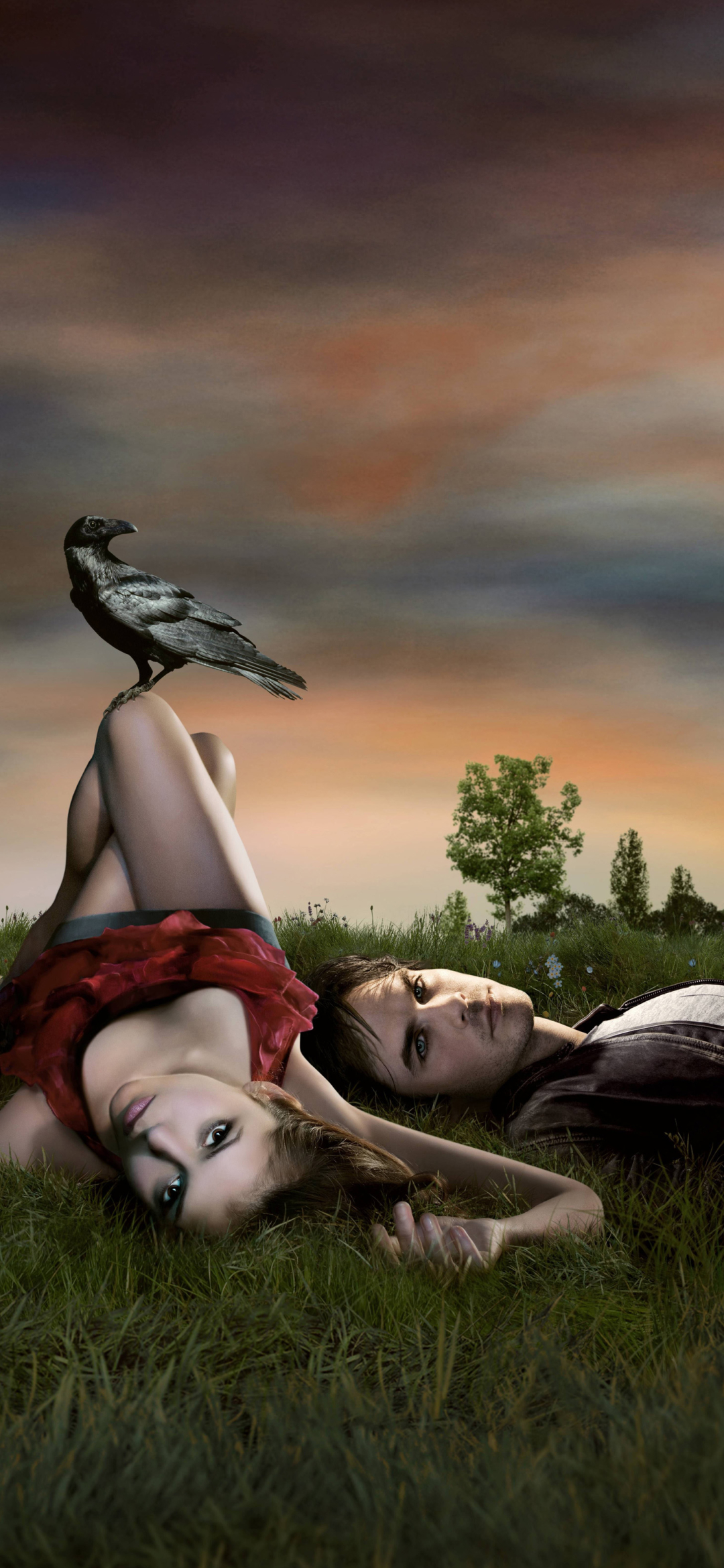 Download mobile wallpaper Crow, Tv Show, The Vampire Diaries for free.