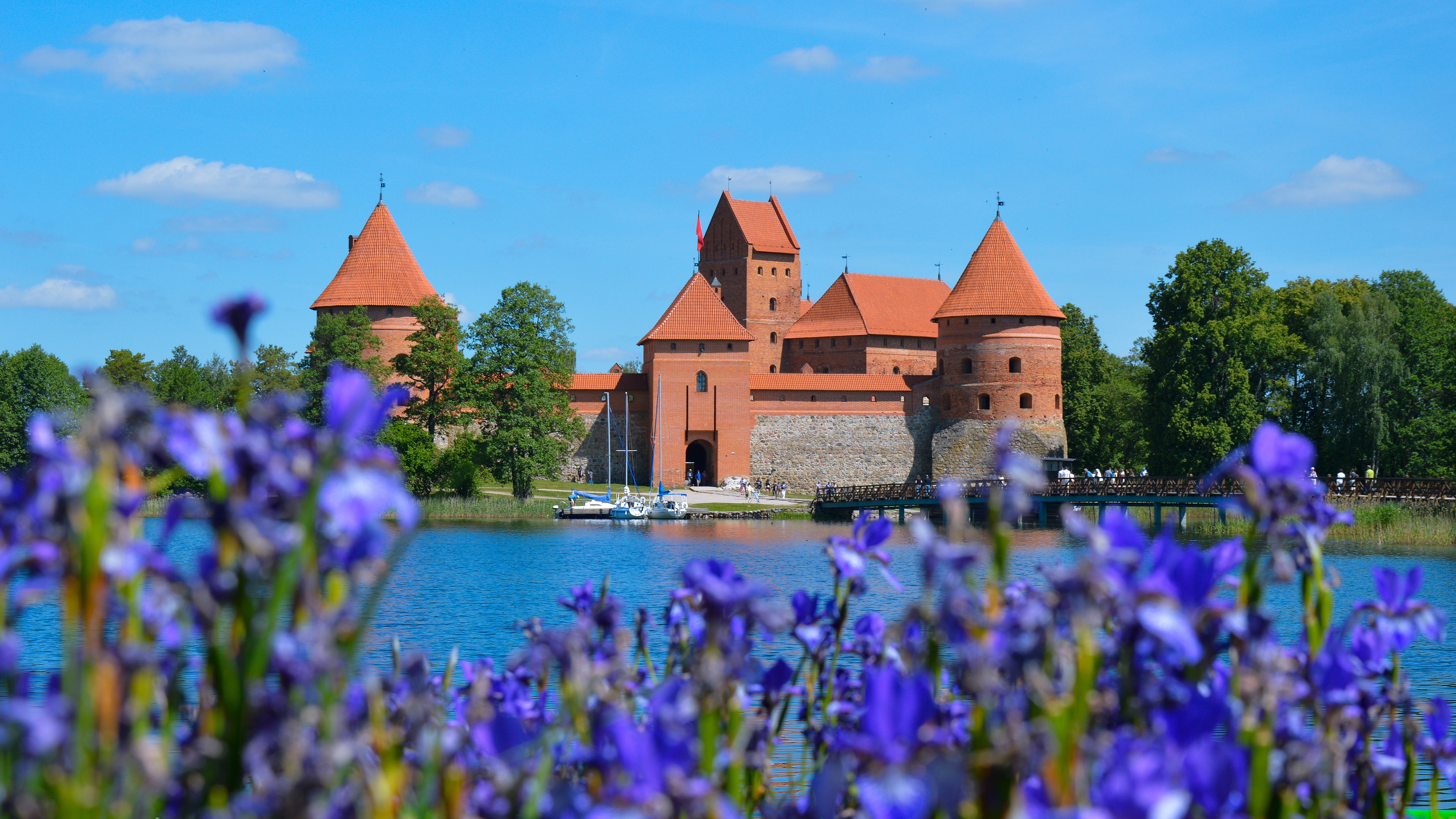 493251 descargar imagen hecho por el hombre, castillo de la isla de trakai, puente, castillo, flor, lituania, castillos: fondos de pantalla y protectores de pantalla gratis