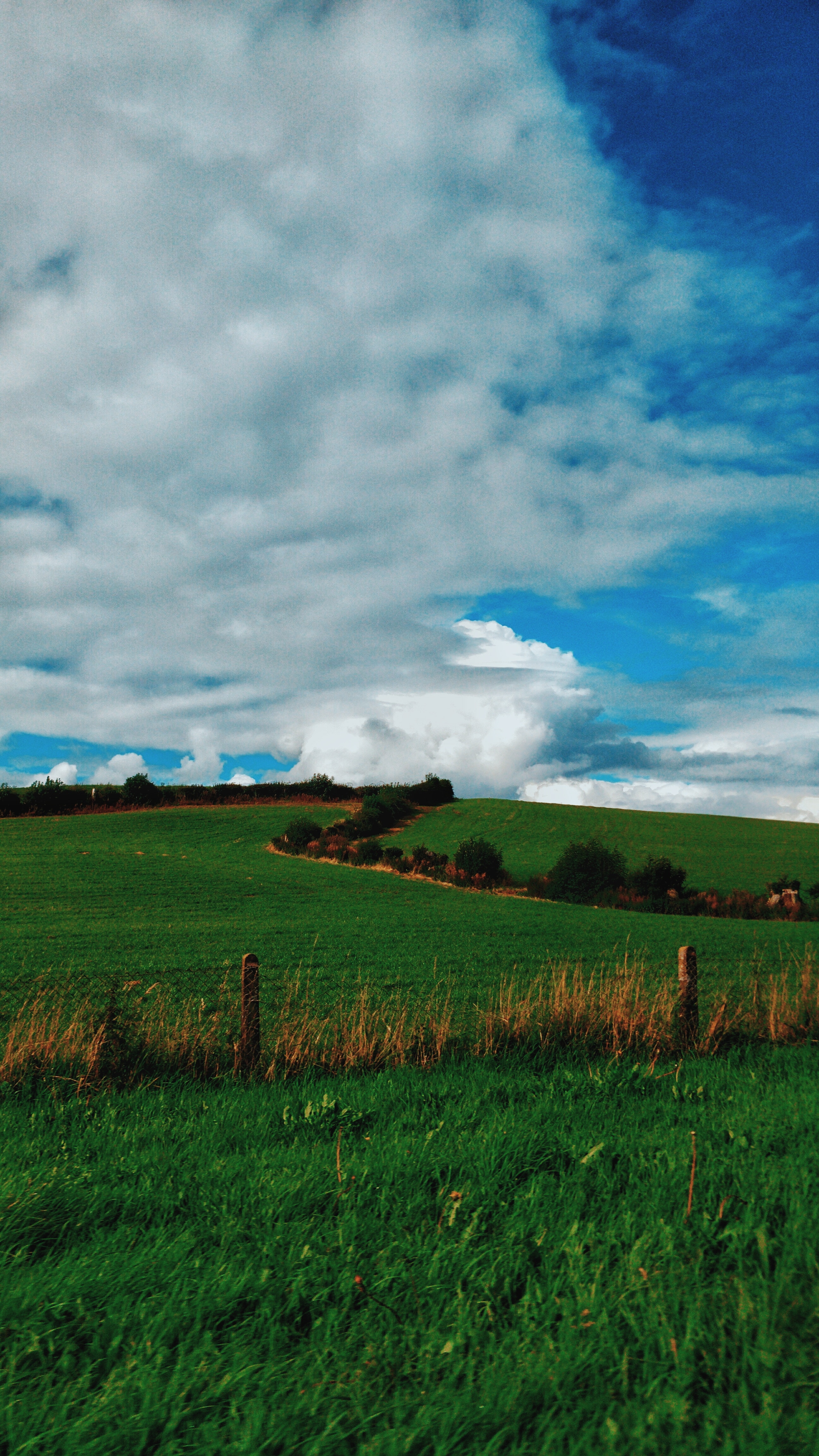 Free download wallpaper Nature, Grass, Sky, Clouds, Summer, Field on your PC desktop