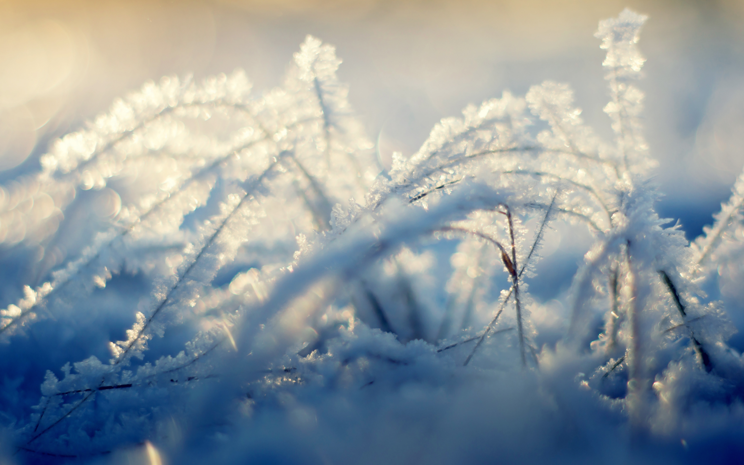 Laden Sie das Winter, Erde/natur-Bild kostenlos auf Ihren PC-Desktop herunter