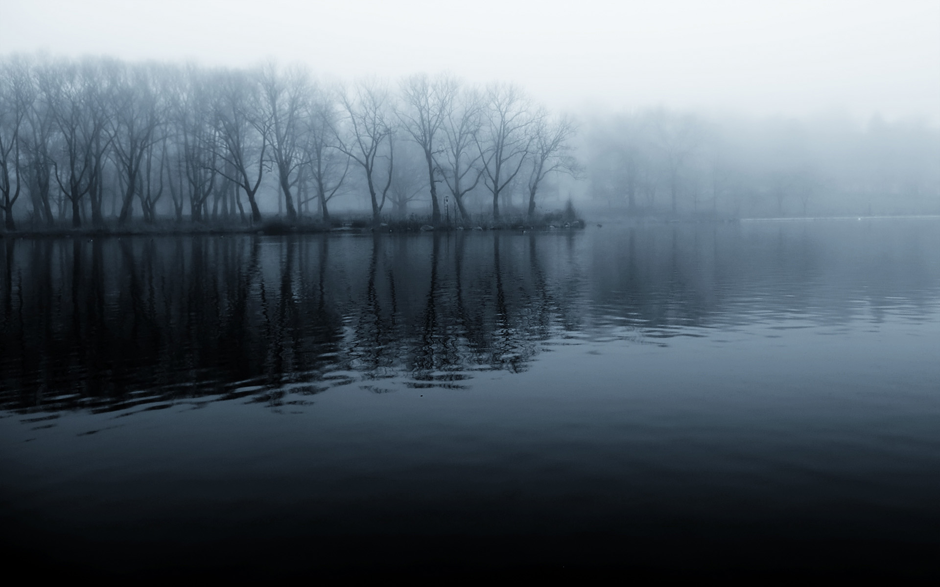 fog, water, landscape, reflection, lake, earth, tree, lakes