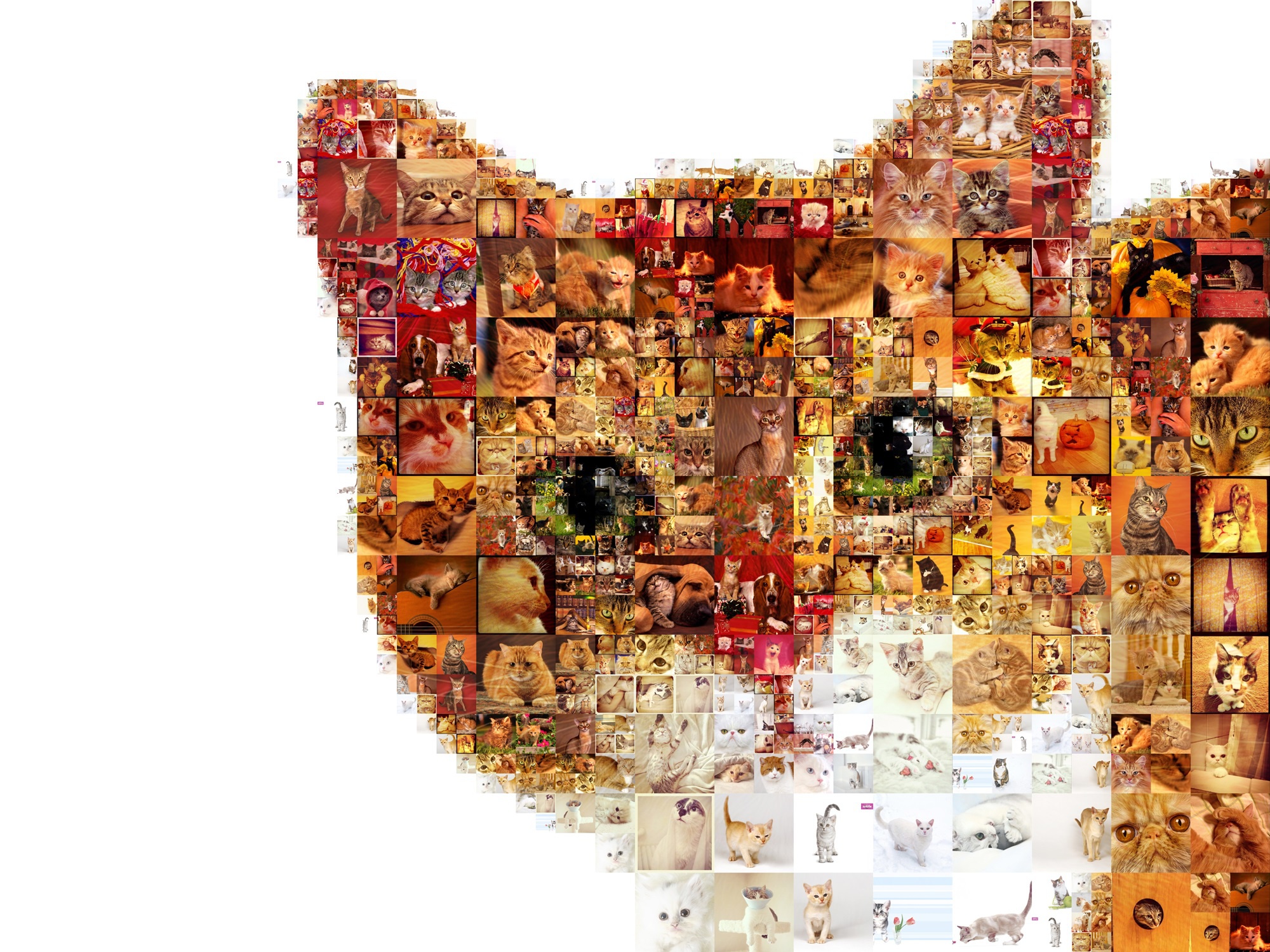 Handy-Wallpaper Tiere, Katzen, Katze, Kollage kostenlos herunterladen.