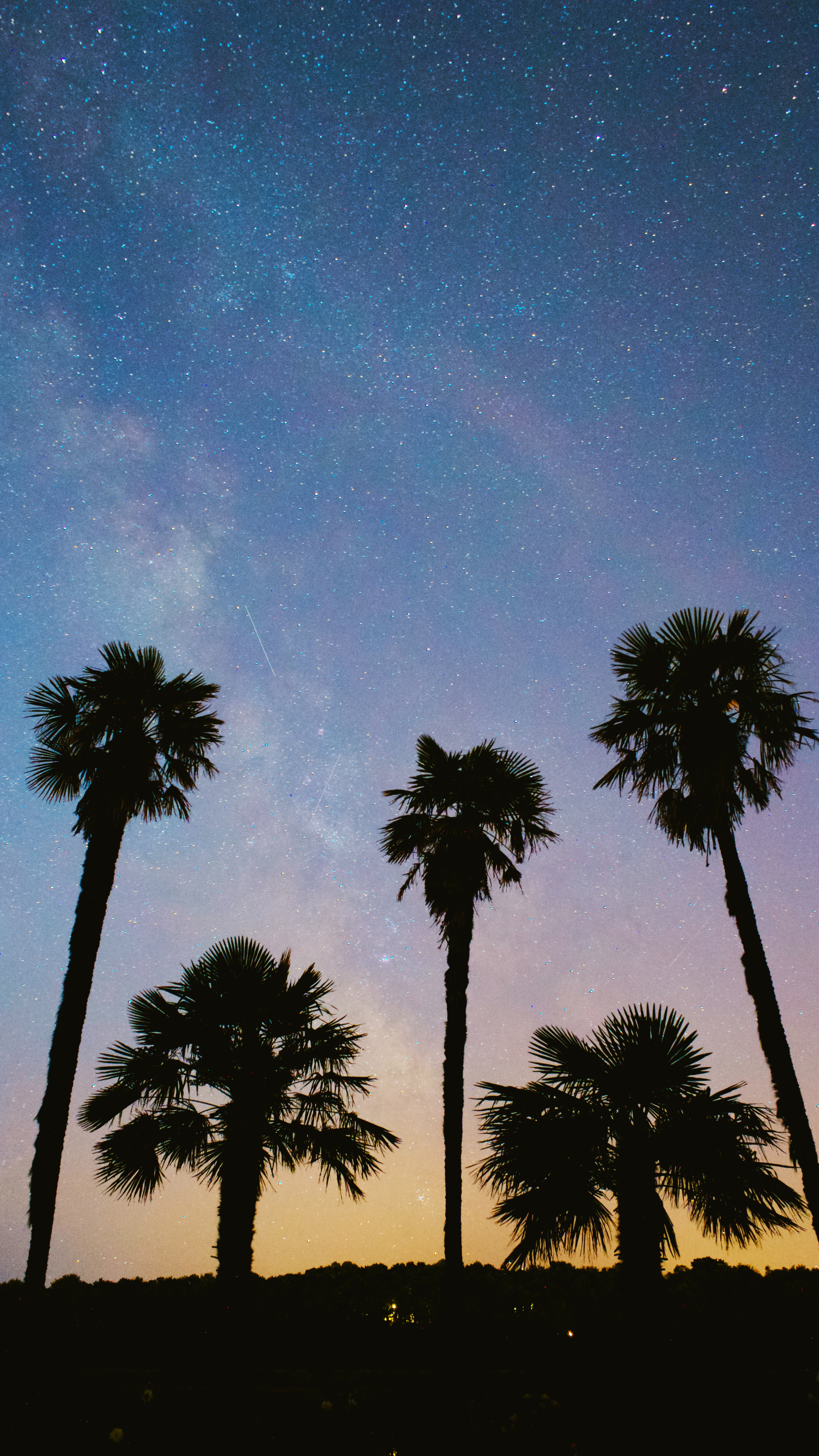 Free download wallpaper Trees, Stars, Starry Sky, Nature, Palms on your PC desktop