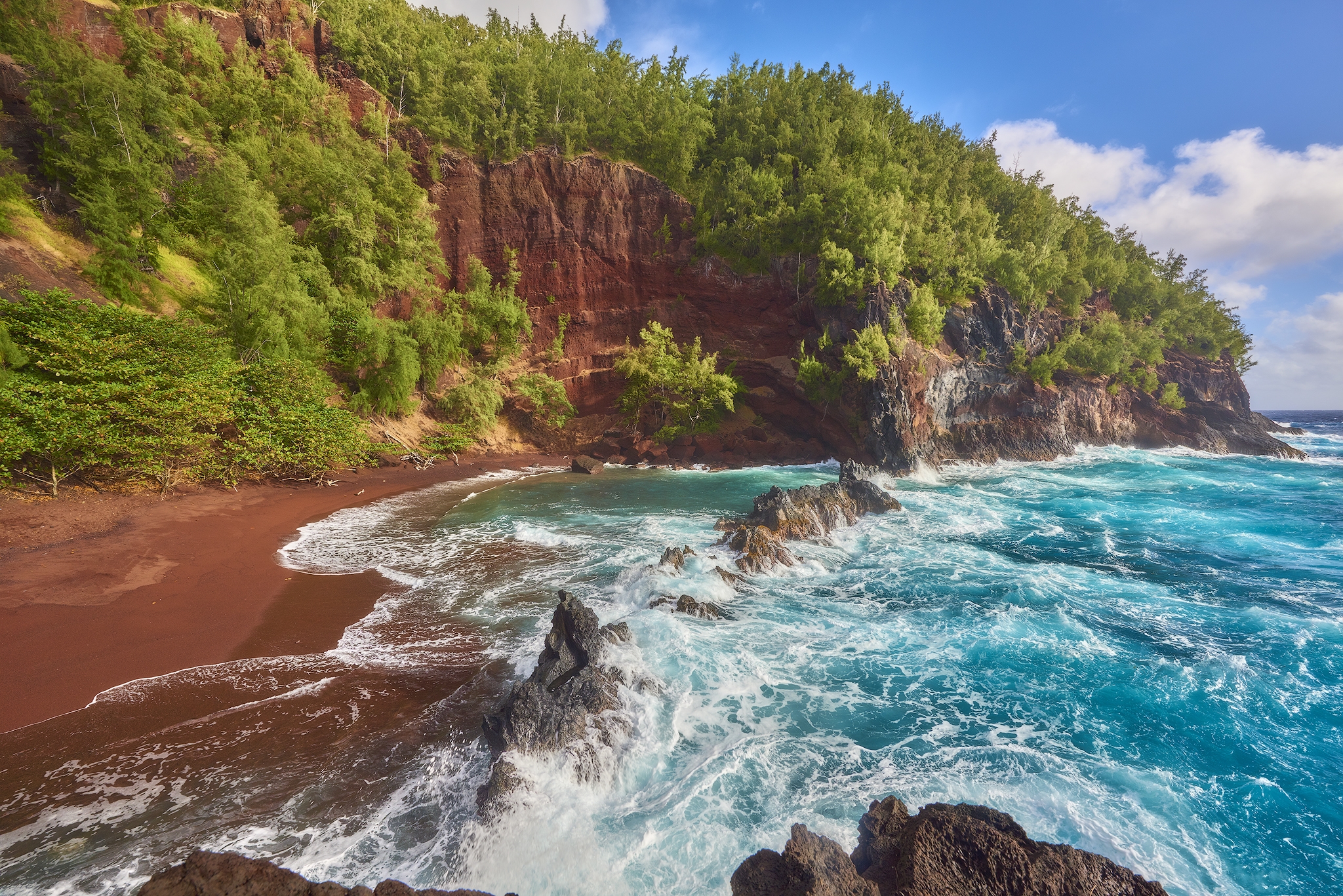Laden Sie das Küste, Baum, Ozean, Klippe, Meer, Erde/natur-Bild kostenlos auf Ihren PC-Desktop herunter