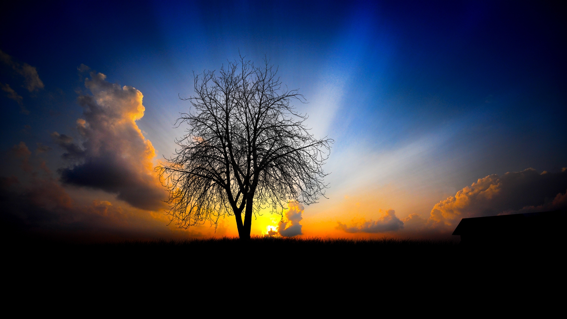 Free download wallpaper Trees, Sunset, Landscape on your PC desktop