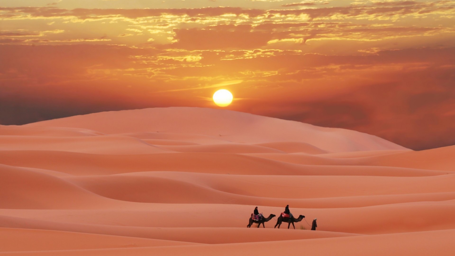 19632 Bild herunterladen landschaft, sunset, sand, wüste, kamele, rot - Hintergrundbilder und Bildschirmschoner kostenlos