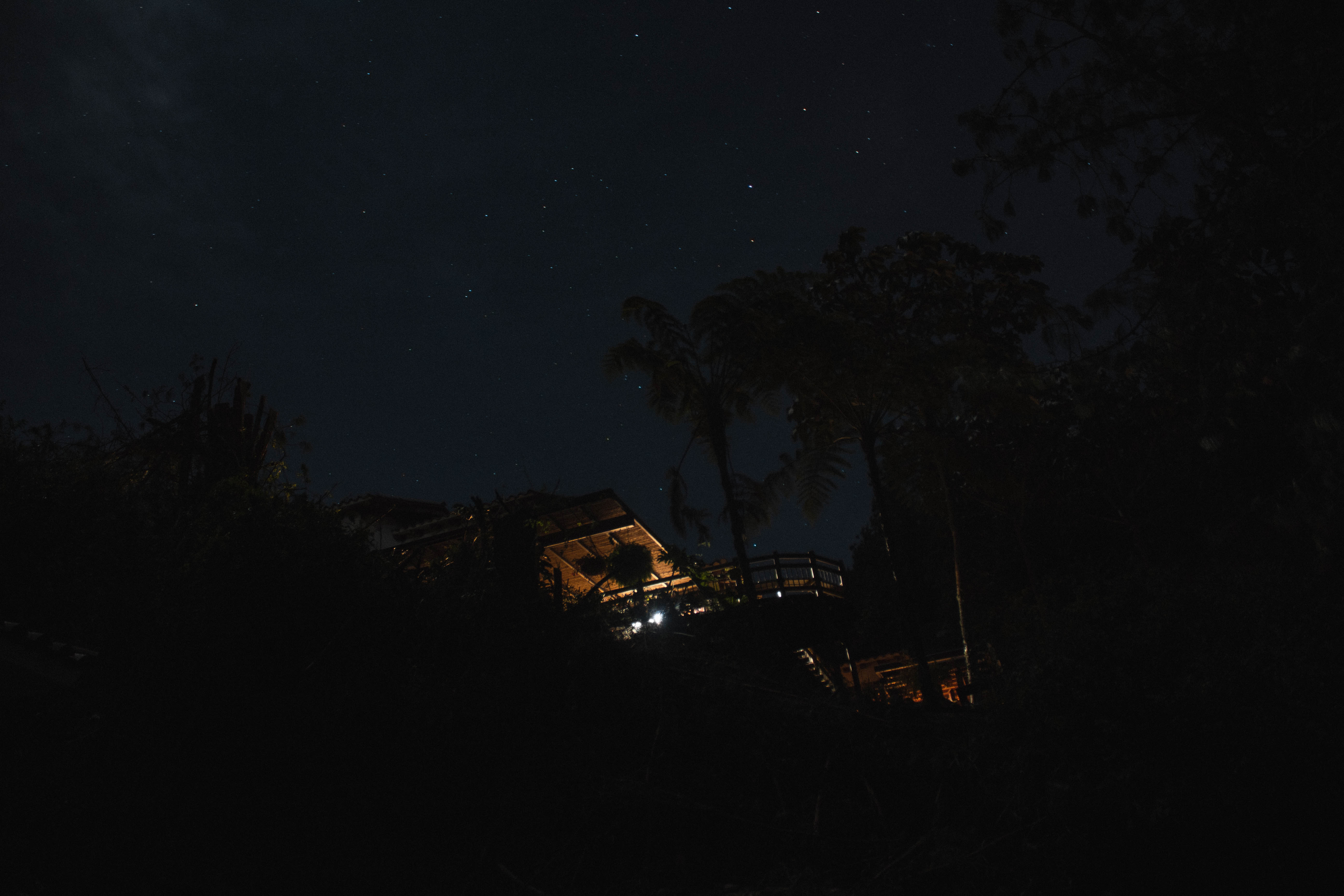 night, palms, dark, starry sky, house desktop HD wallpaper