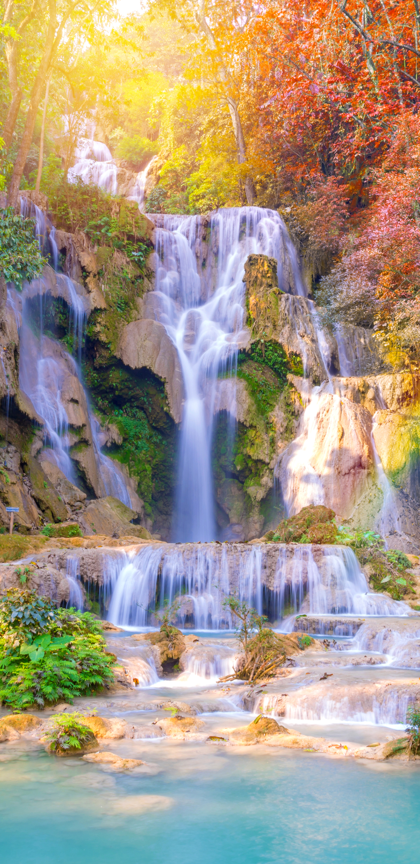 Handy-Wallpaper Herbst, Wasserfälle, Wasserfall, Wald, Erde/natur kostenlos herunterladen.