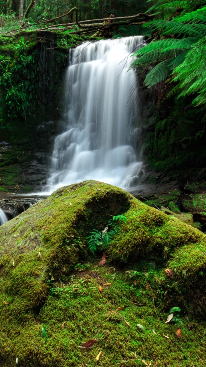 Скачать картинку Водопады, Водопад, Зелень, Земля, Мох, Земля/природа в телефон бесплатно.